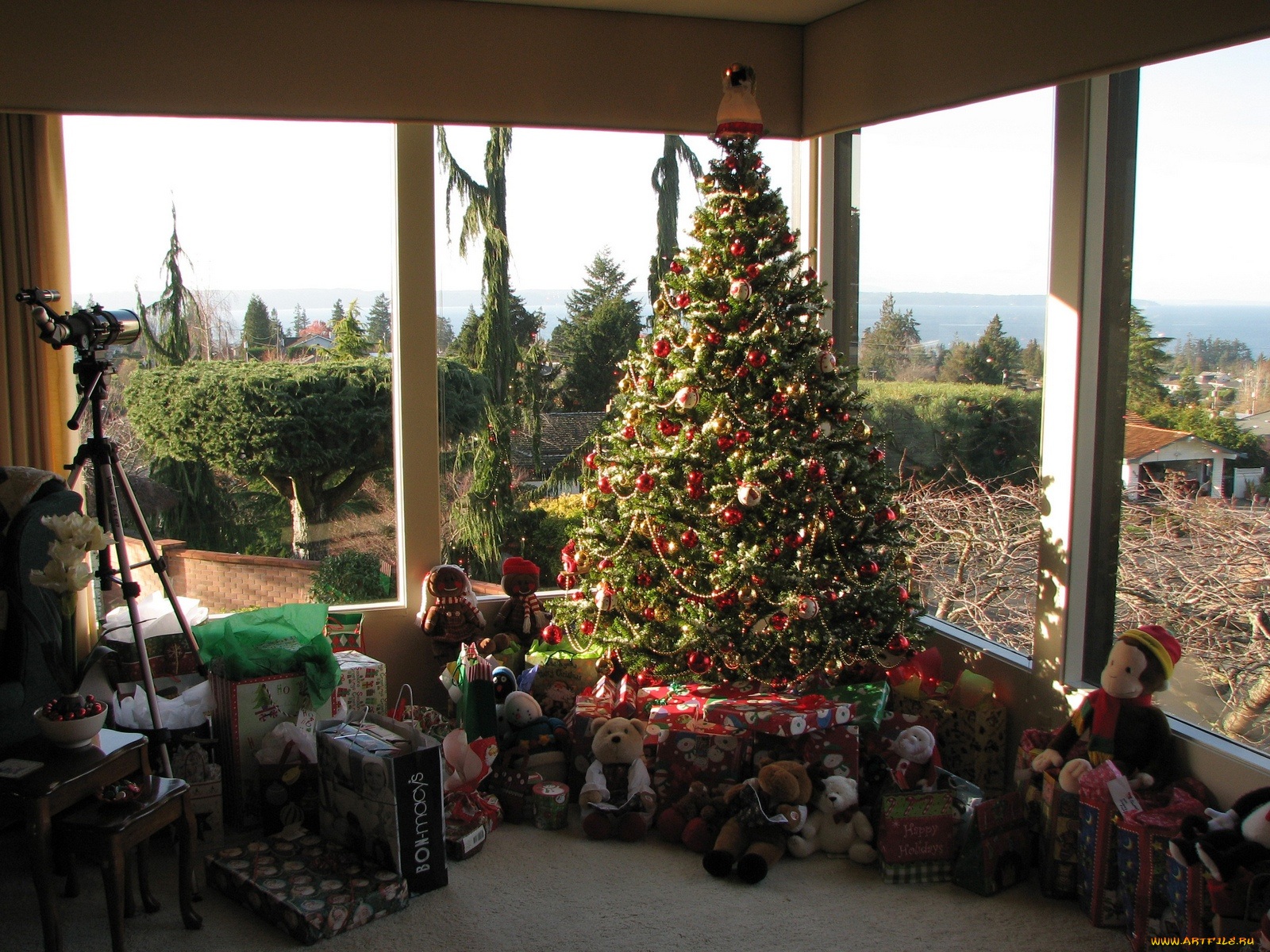 праздничные, Ёлки