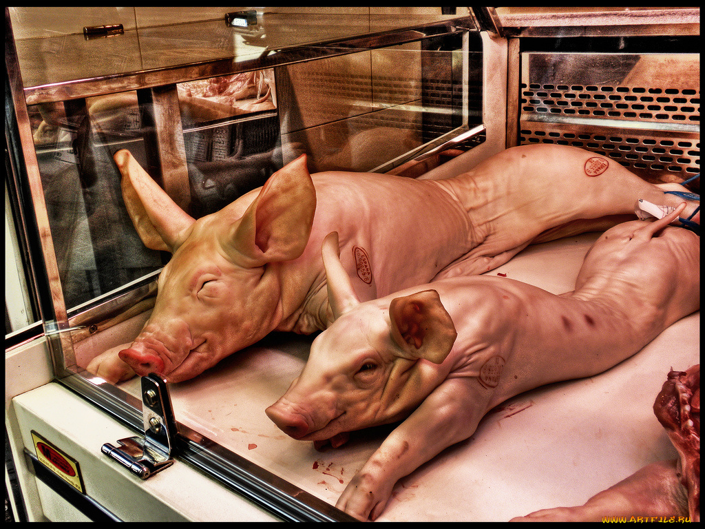 еда, разное