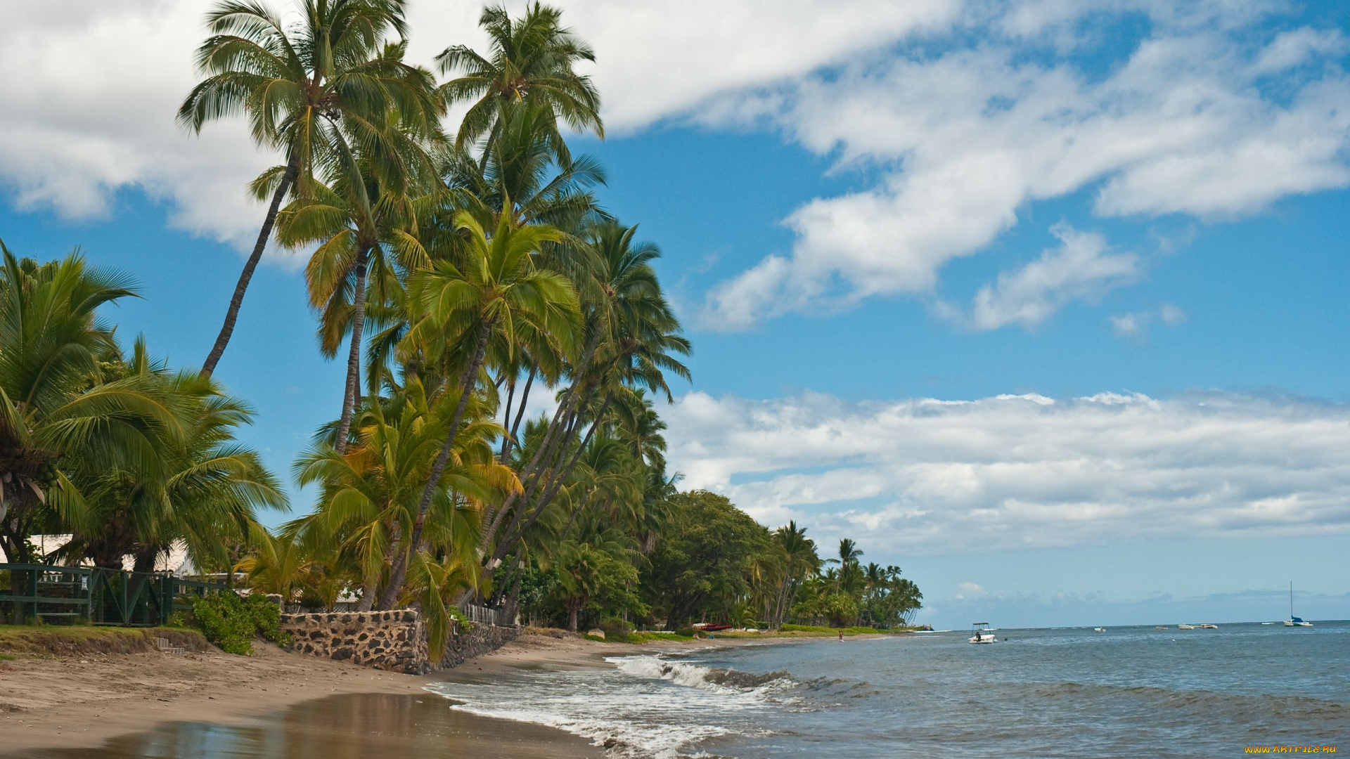 природа, тропики