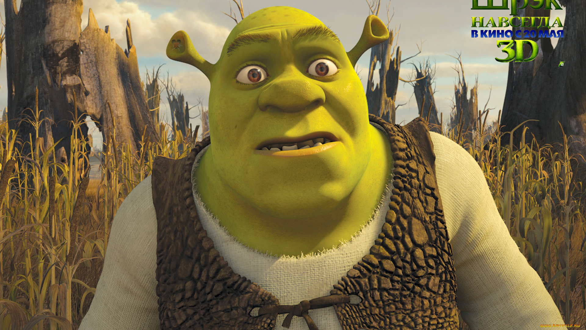 shrek, forever, after, мультфильмы