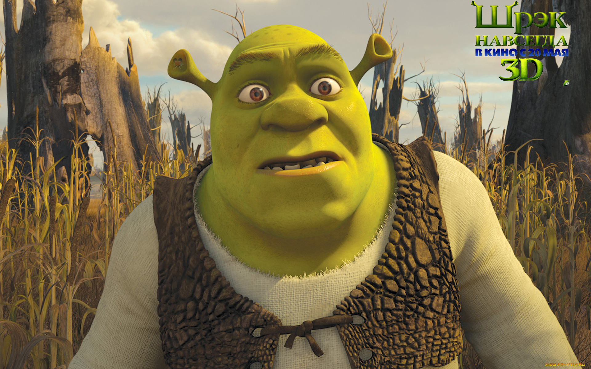 shrek, forever, after, мультфильмы