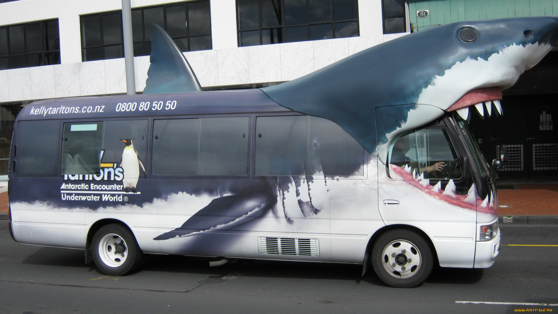 автомобили, автобусы