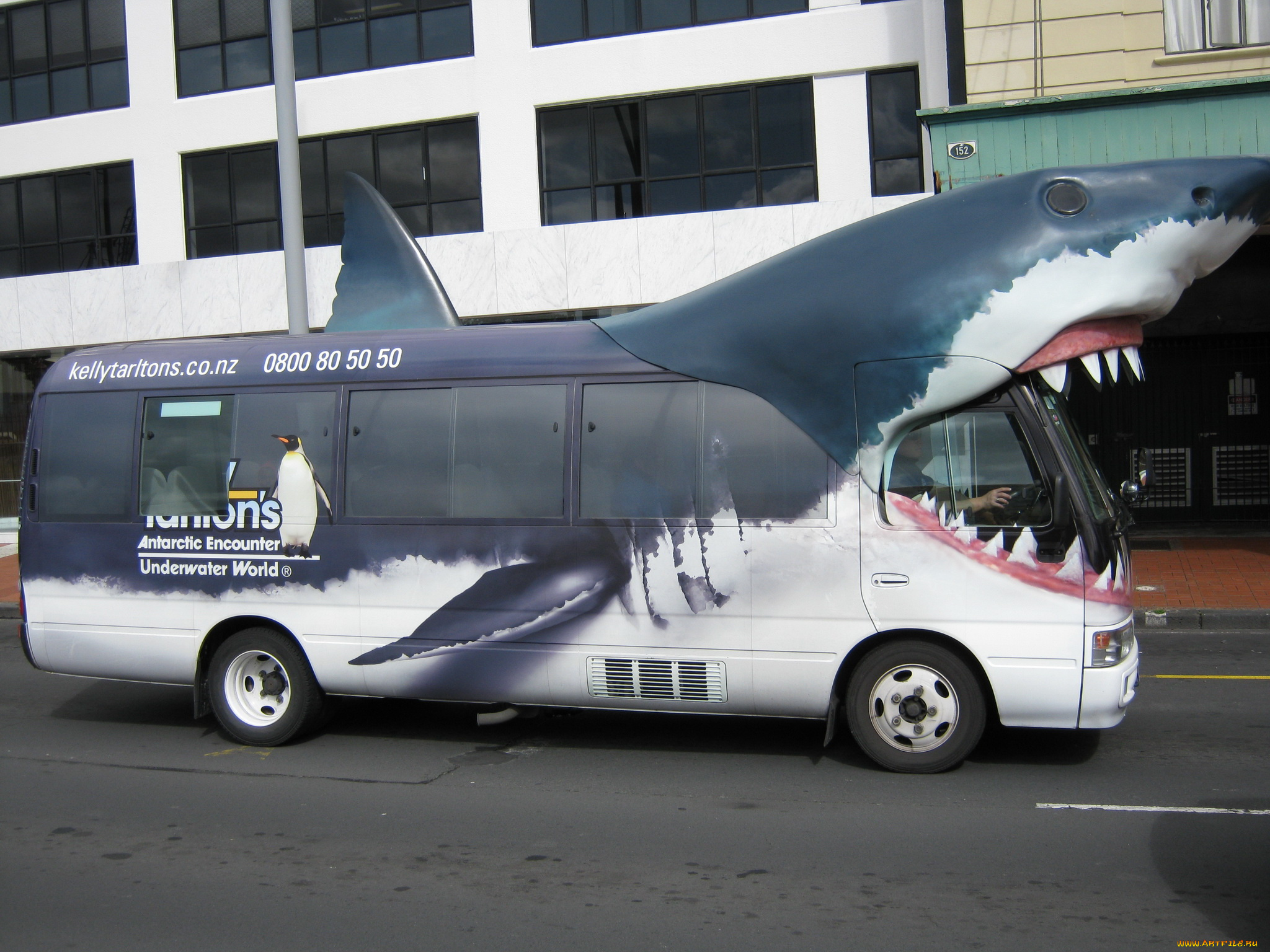 автомобили, автобусы