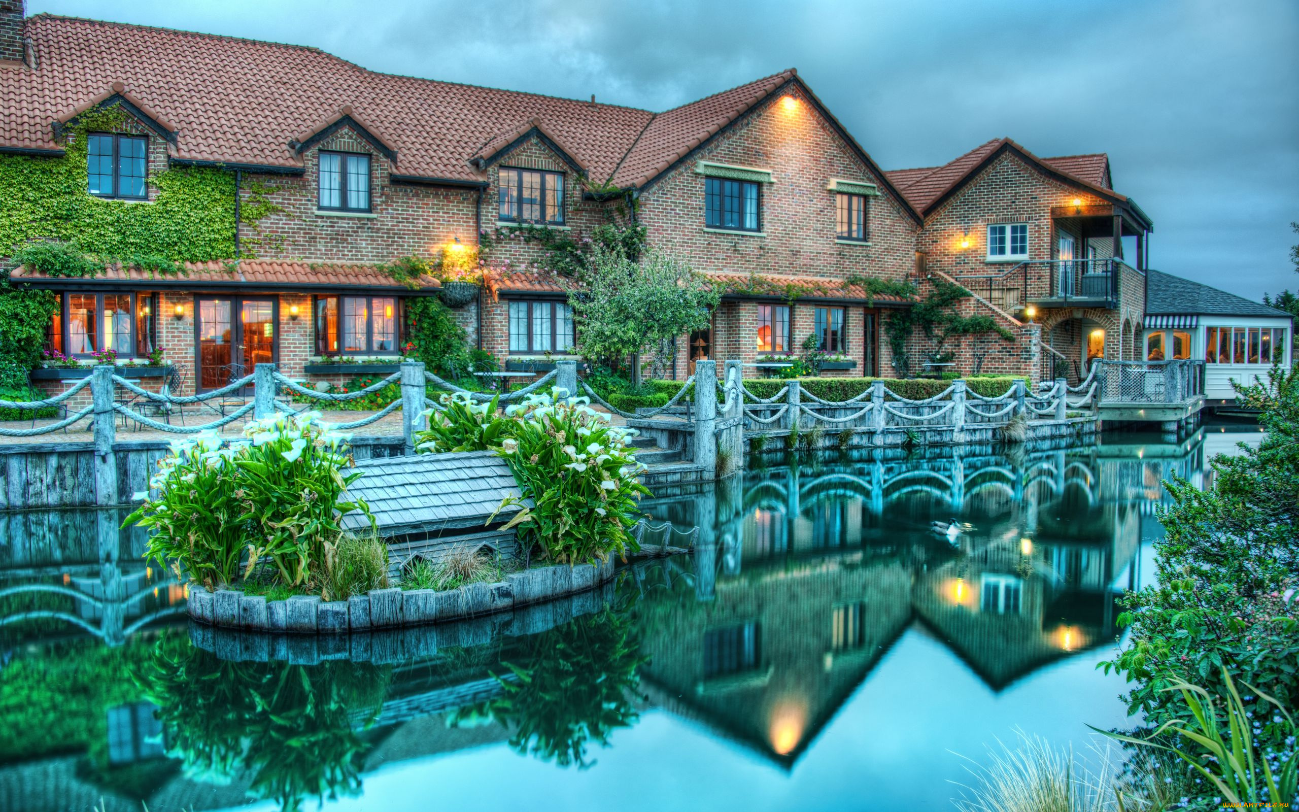 nelson, new, zealand, города, здания, дома