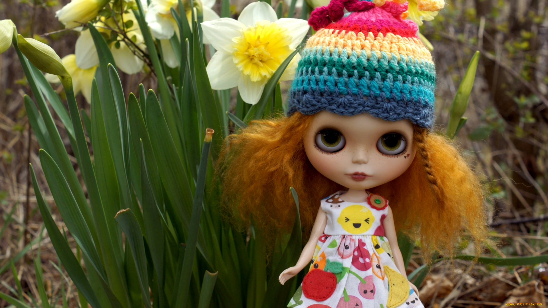 разное, игрушки, нарциссы, кукла, шапочка