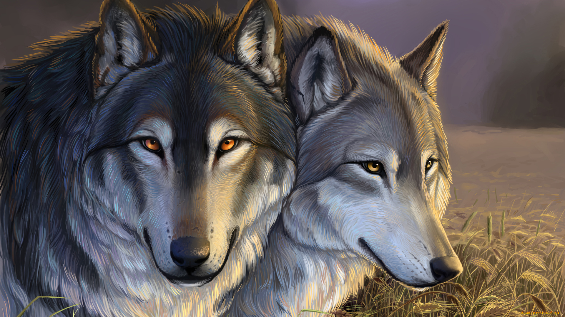 рисованные, животные, волки, тучи, трава, поле, колосья