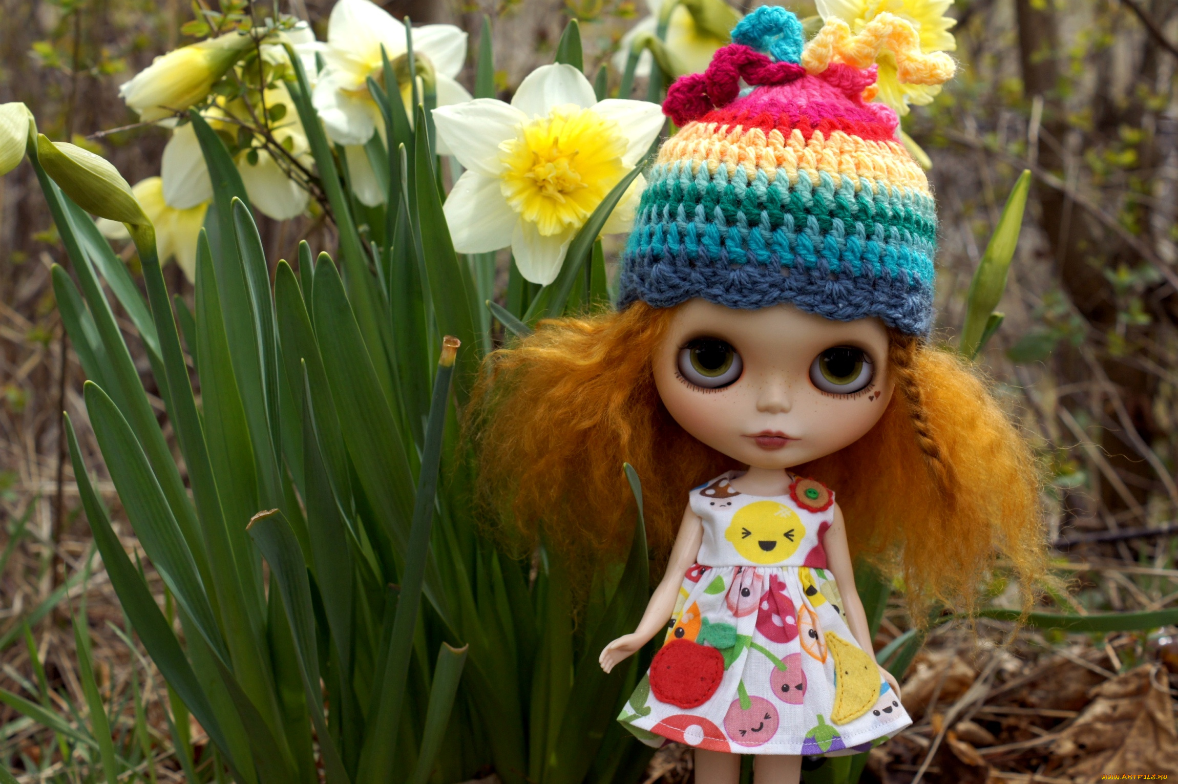 разное, игрушки, нарциссы, кукла, шапочка