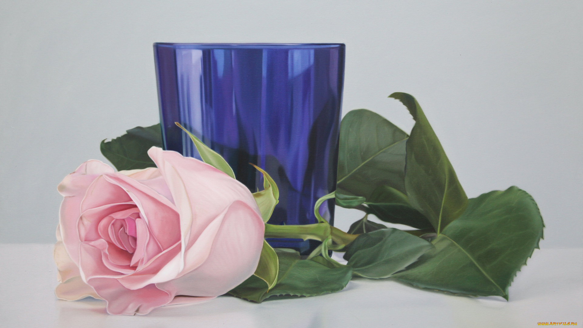 karina, rodriguez, рисованные, роза