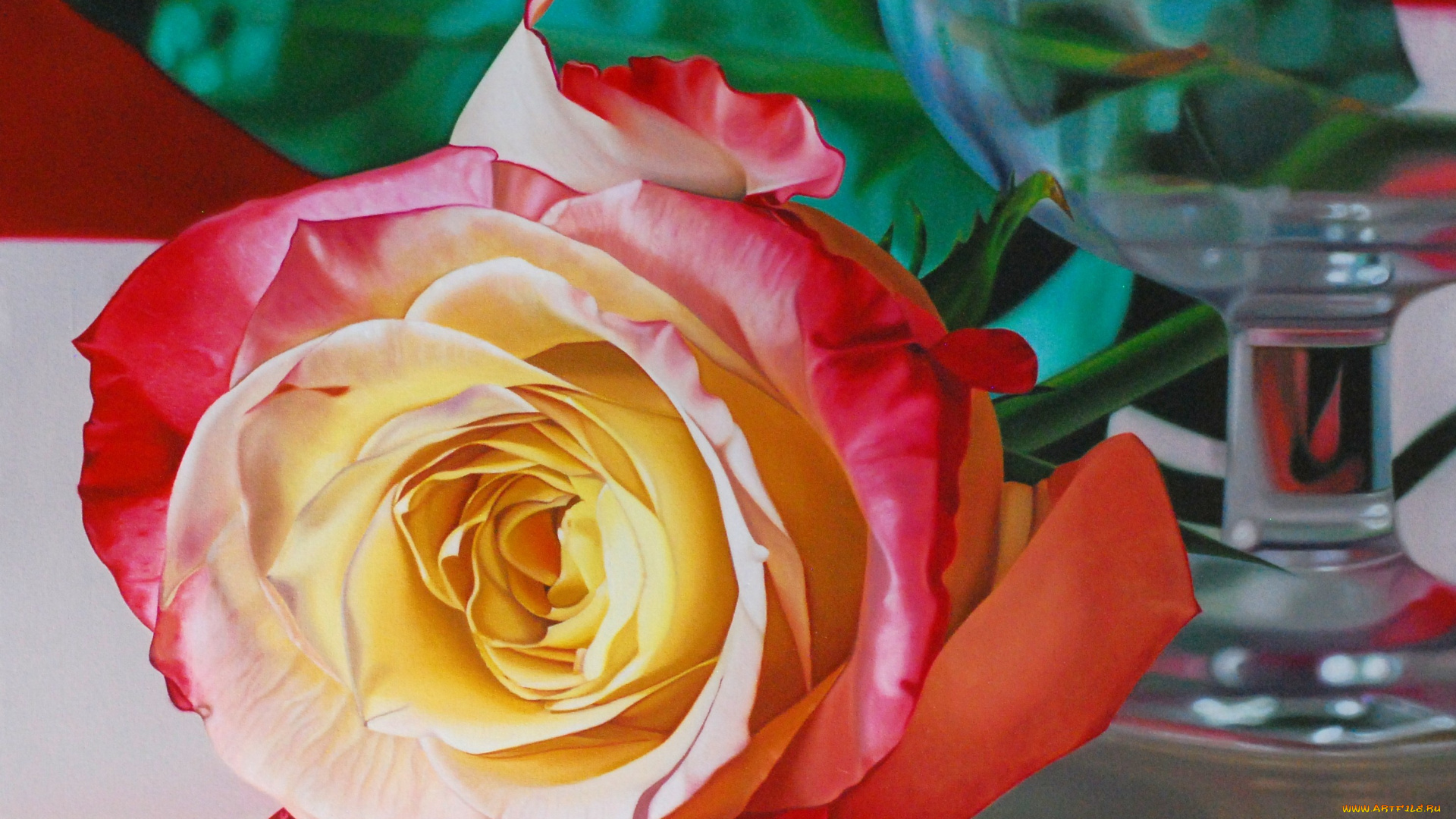 karina, rodriguez, рисованные, роза