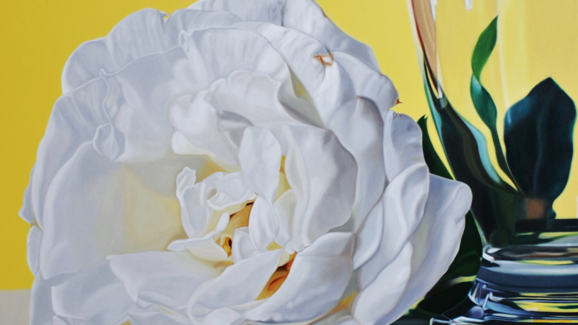 karina, rodriguez, рисованные, роза