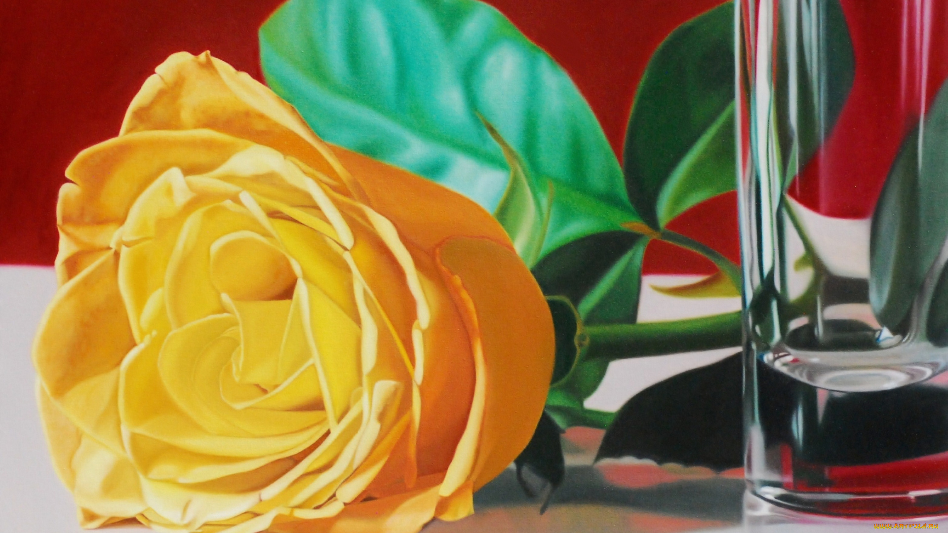 karina, rodriguez, рисованные, роза