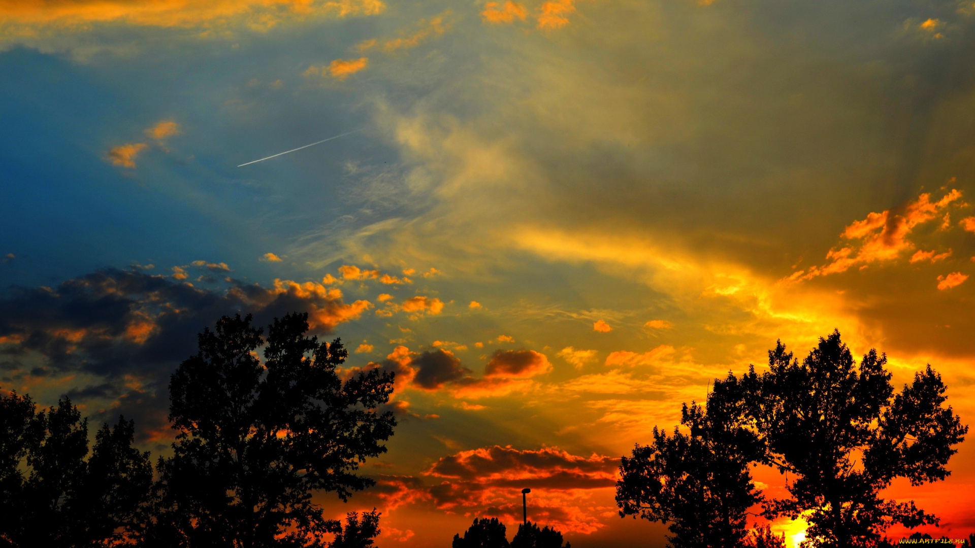 природа, восходы, закаты, деревья, облака, заря