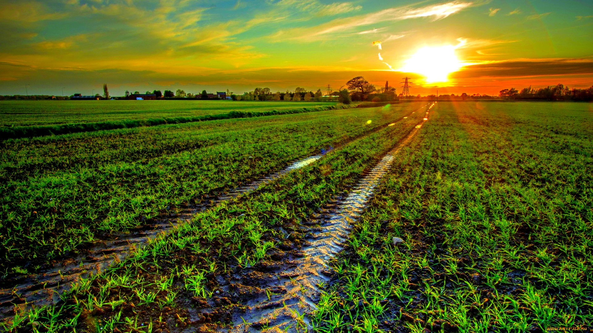 природа, восходы, закаты, трава, поле, следы, закат