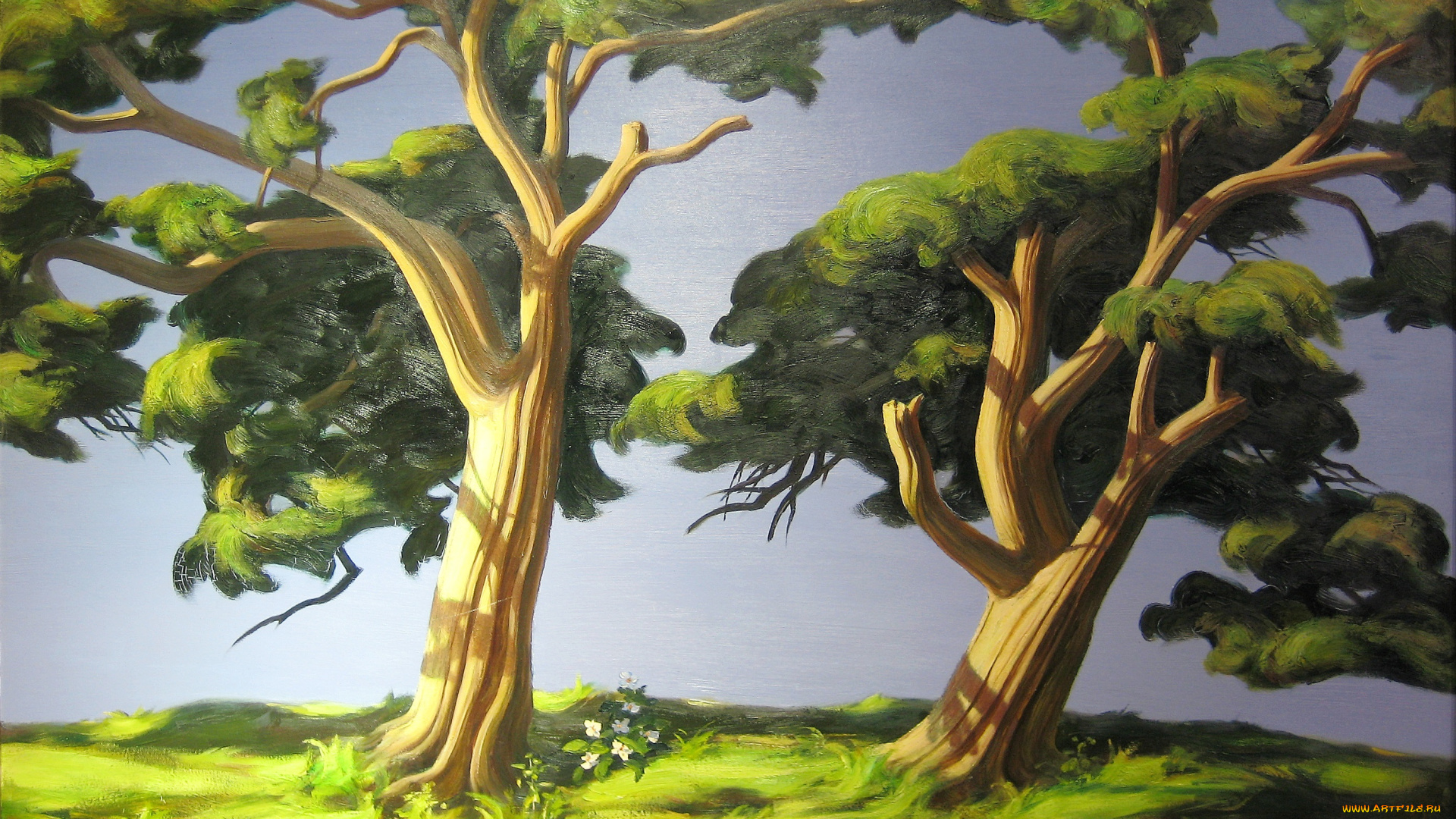 рисованные, природа, деревья, лето