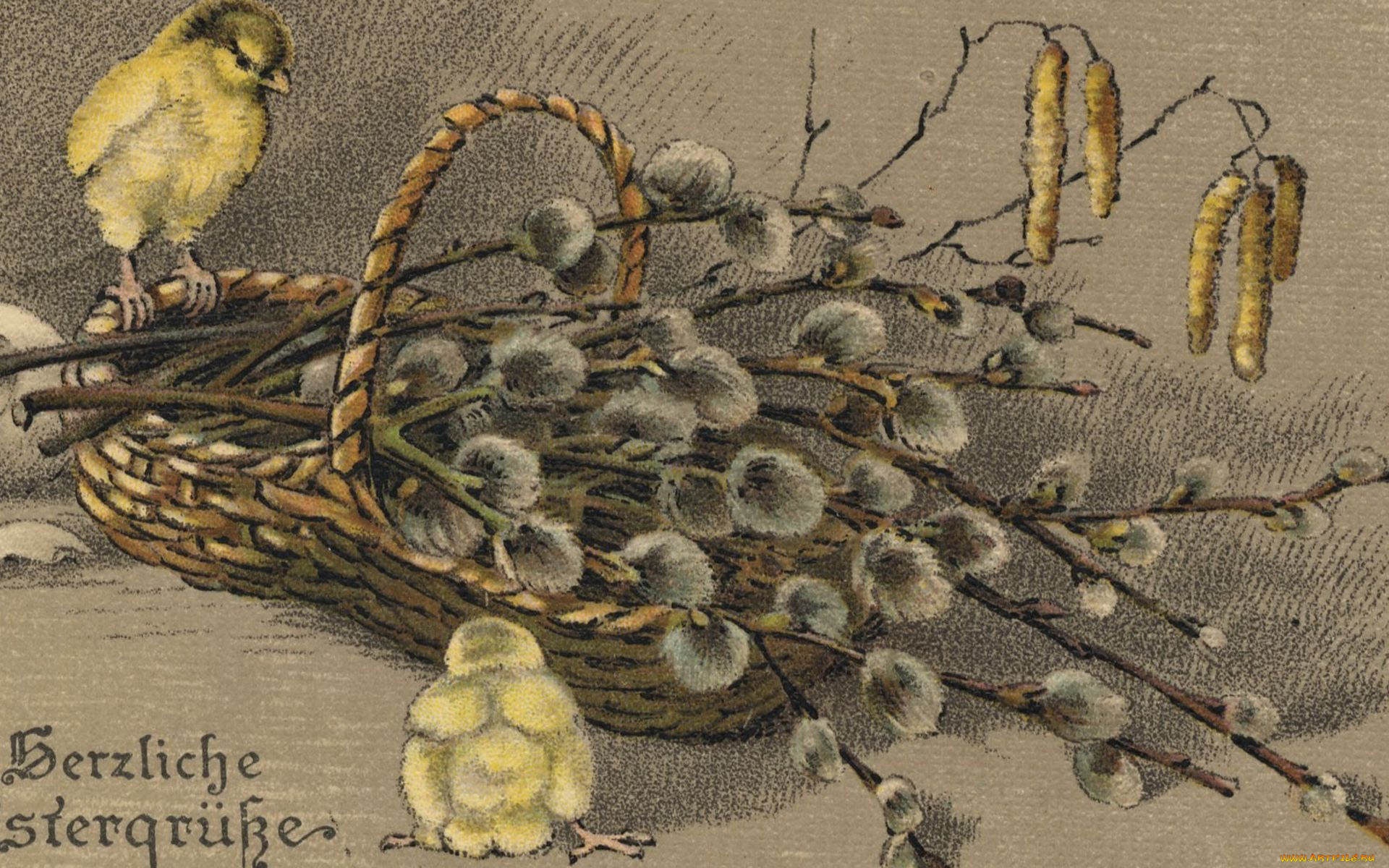 рисованные, живопись, корзинка, цыплята, верба, почки, ветки