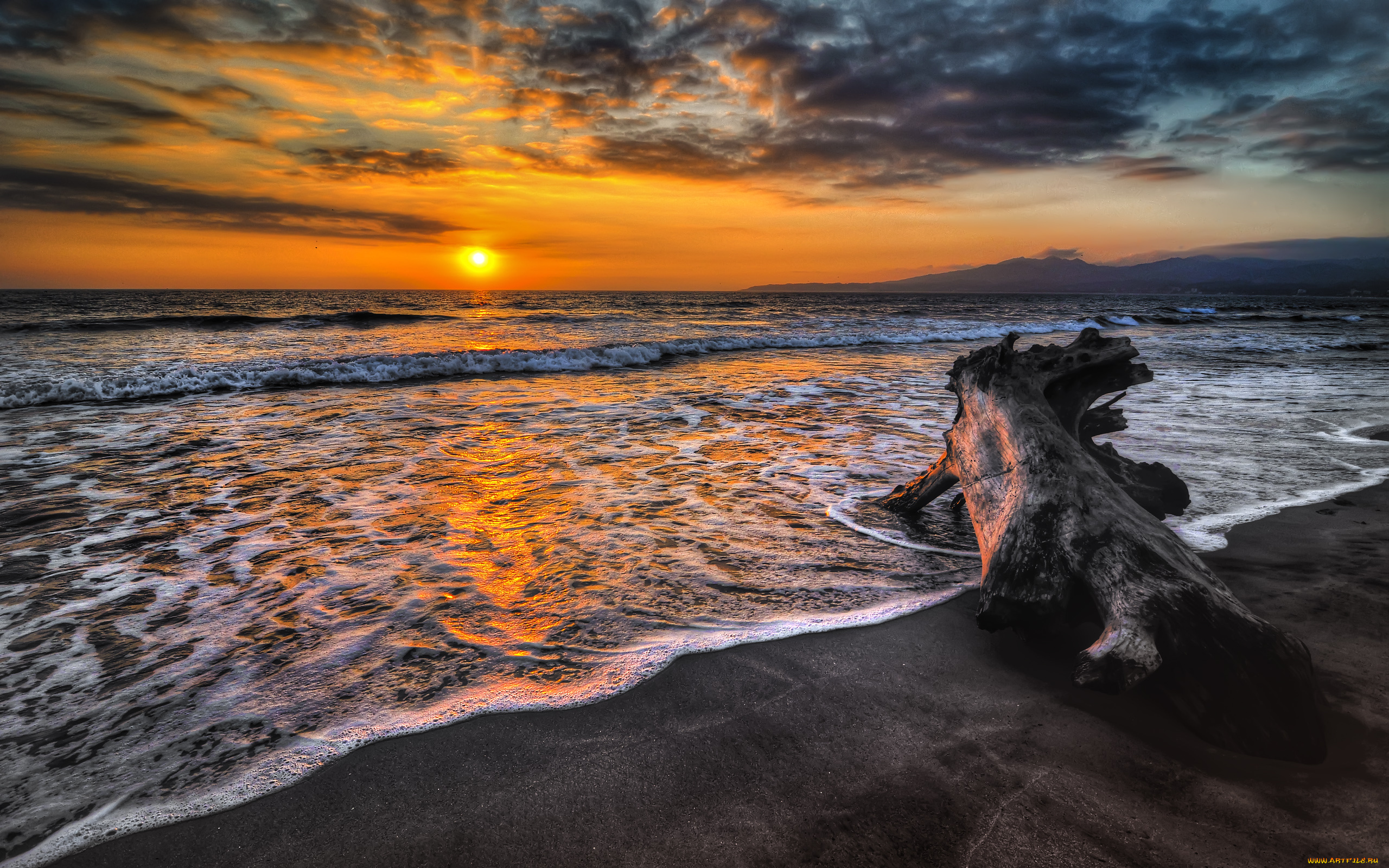 природа, восходы, закаты, бревно, закат, океан