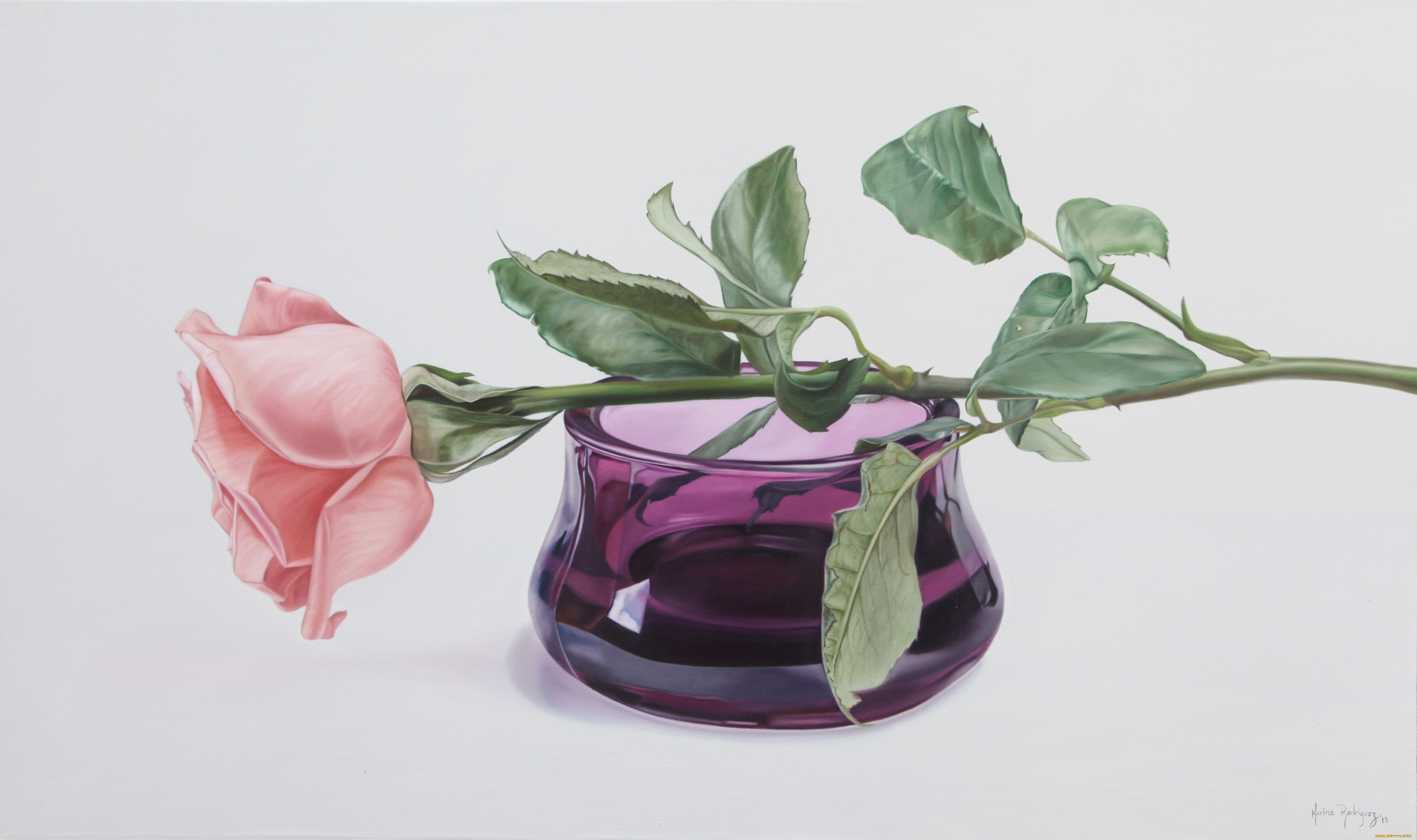 karina, rodriguez, рисованные, роза