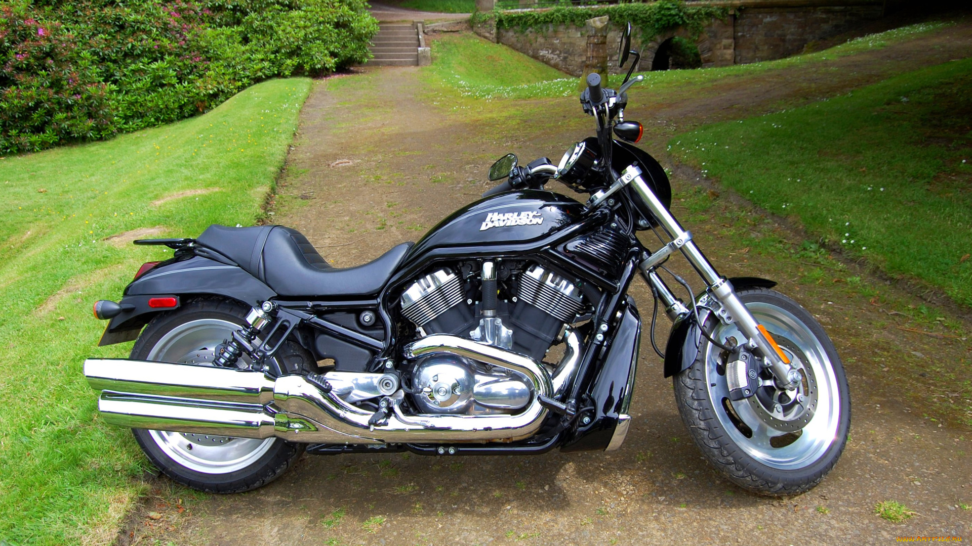 harley-, davidson, , vrsc, 1250, cc, , v, twin, , usa, мотоциклы, harley-davidson, байк, дорожный, классический, сша