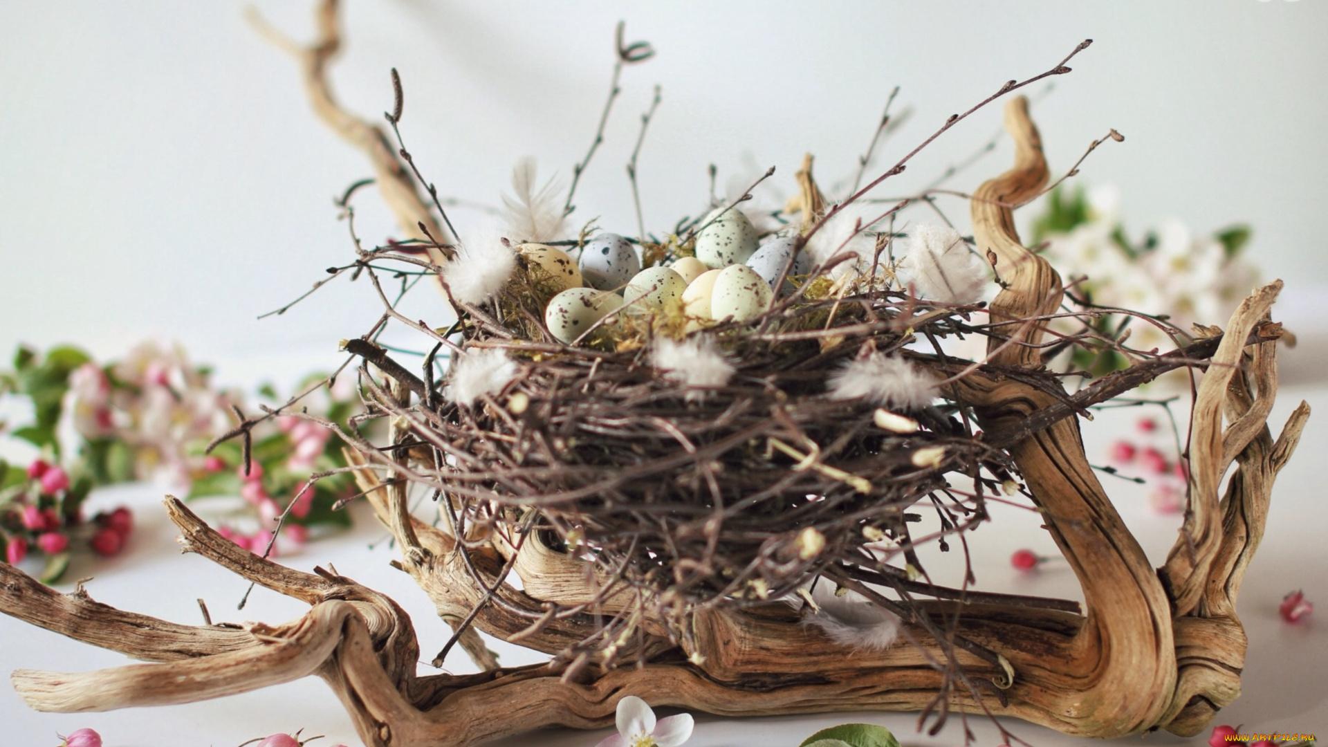 праздничные, пасха, гнездо