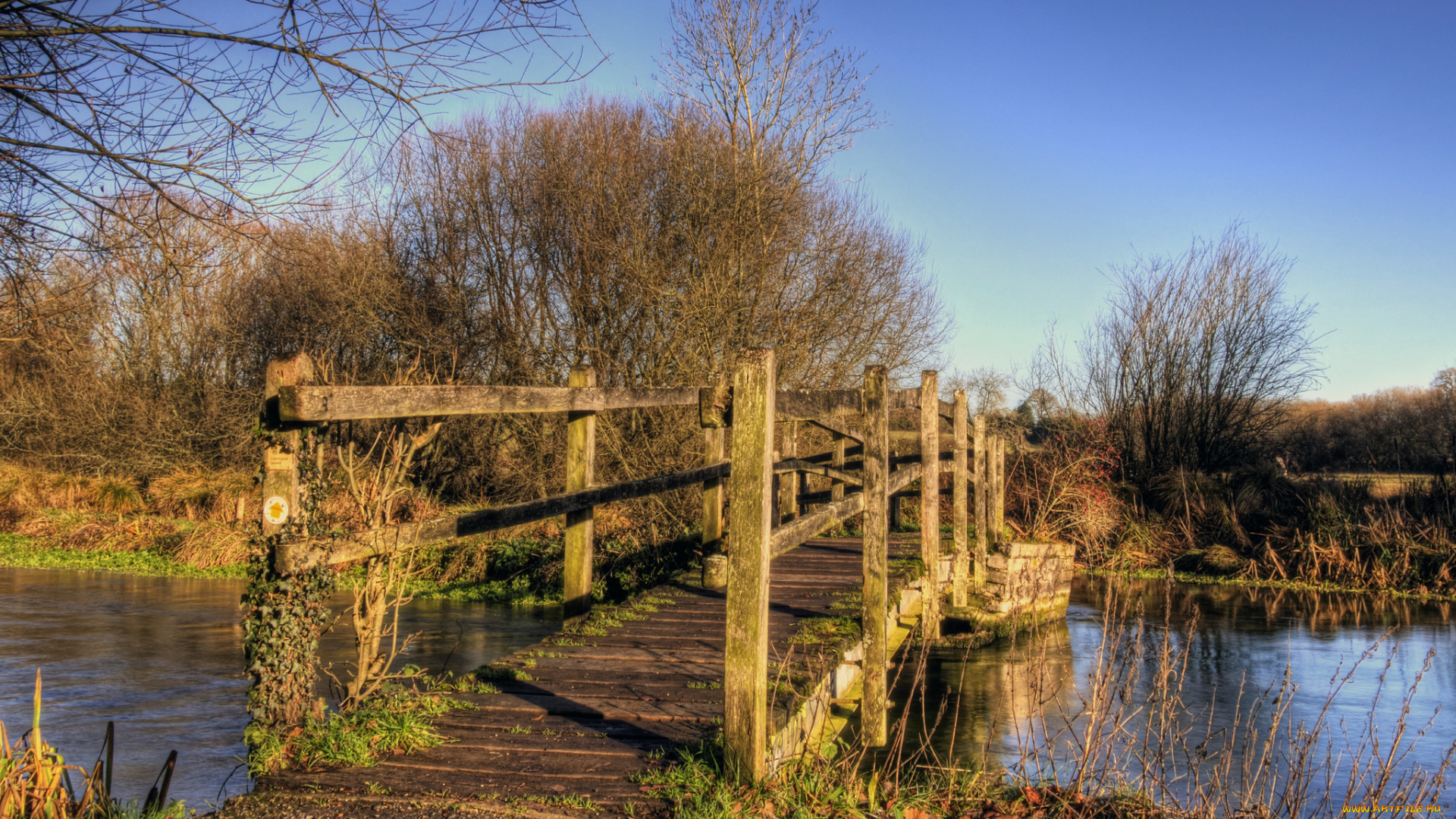 природа, дороги, мостик, река, кусты