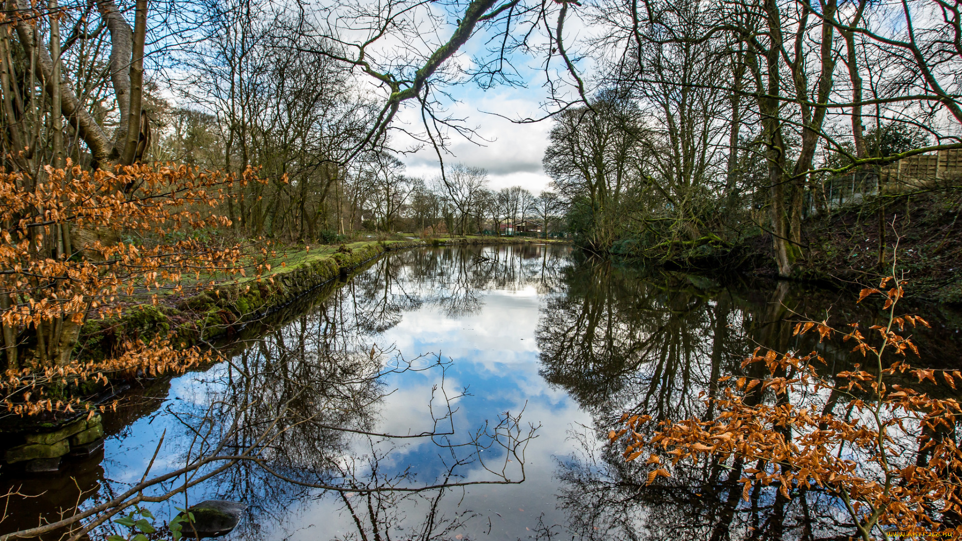 природа, реки, озера, облака, деревья, трава, берега, река