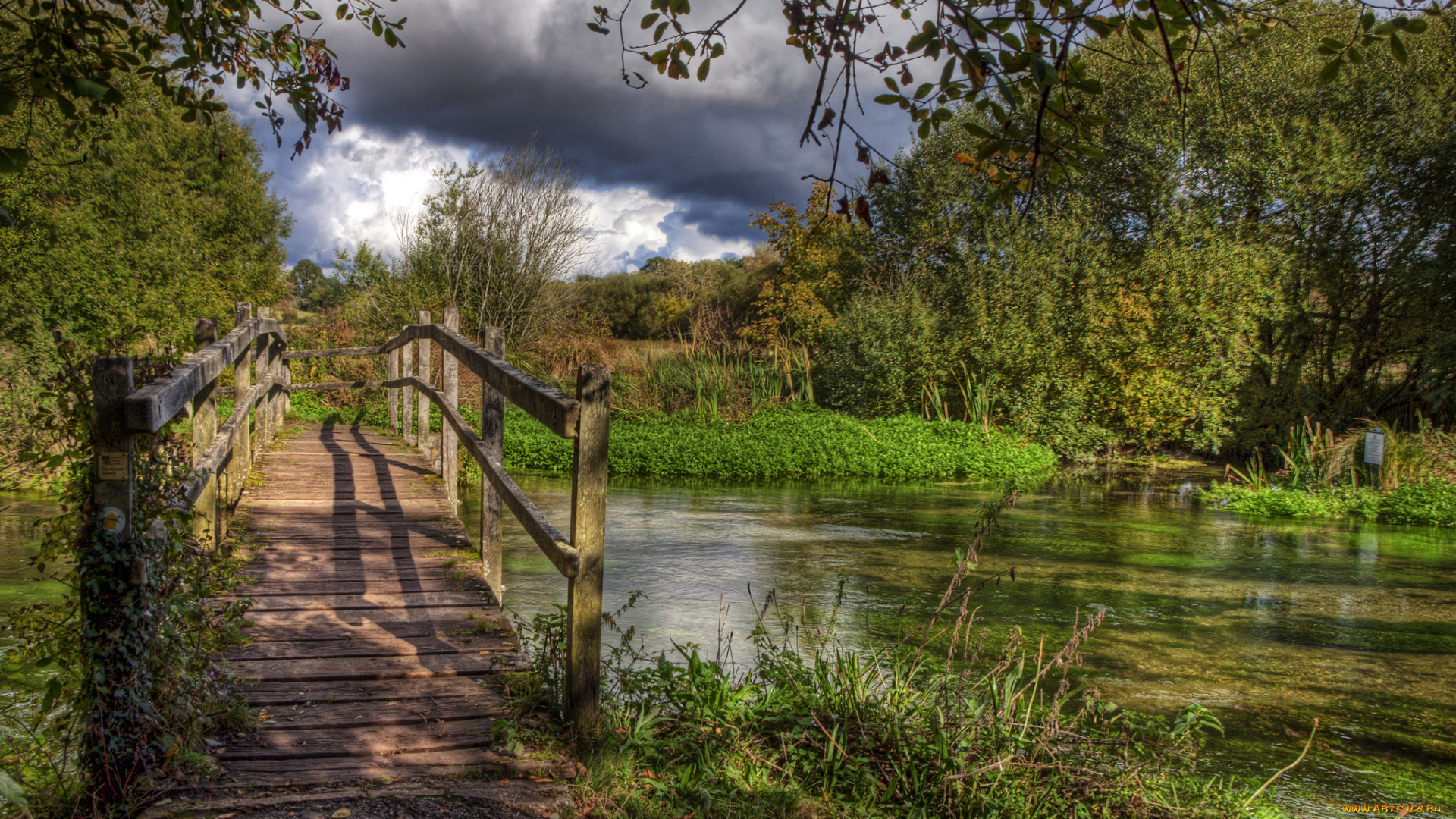 природа, реки, озера, речка, лес, мостик