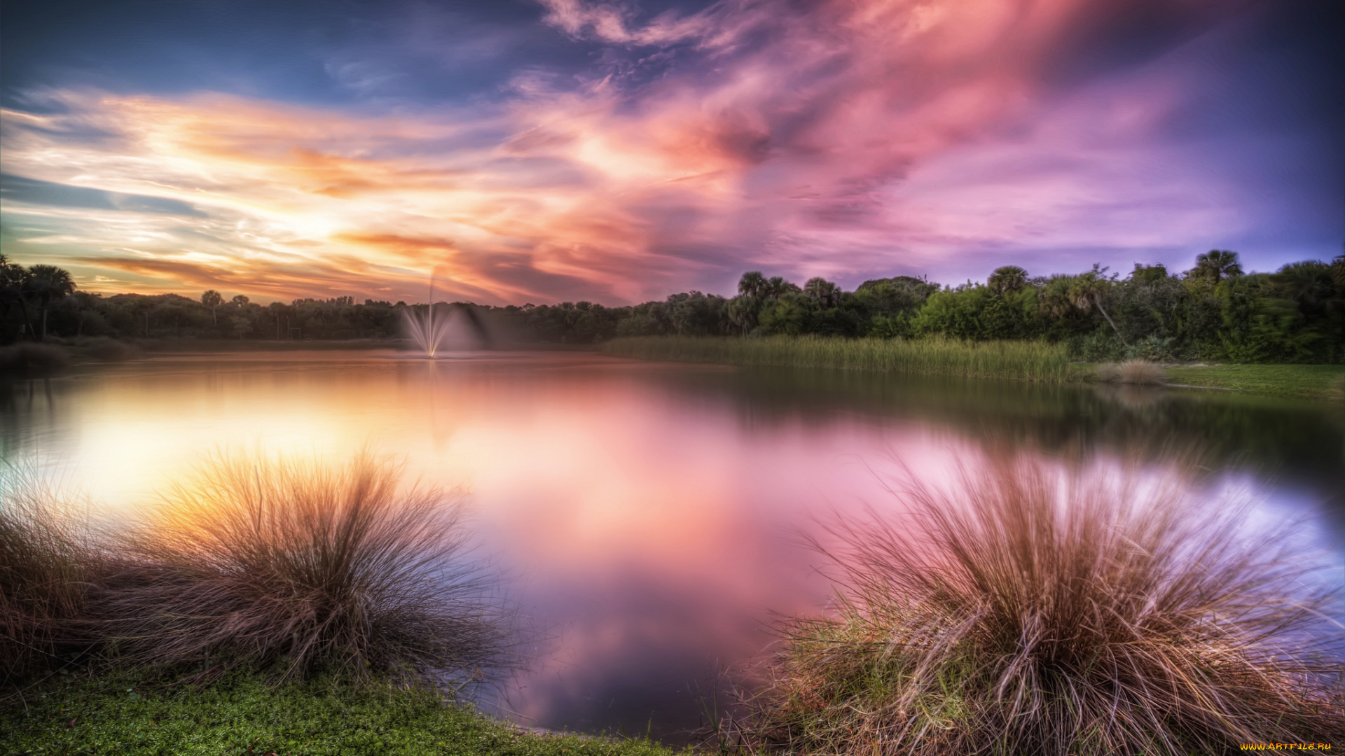 природа, реки, озера, зарево, трава, озеро, лес, кочки