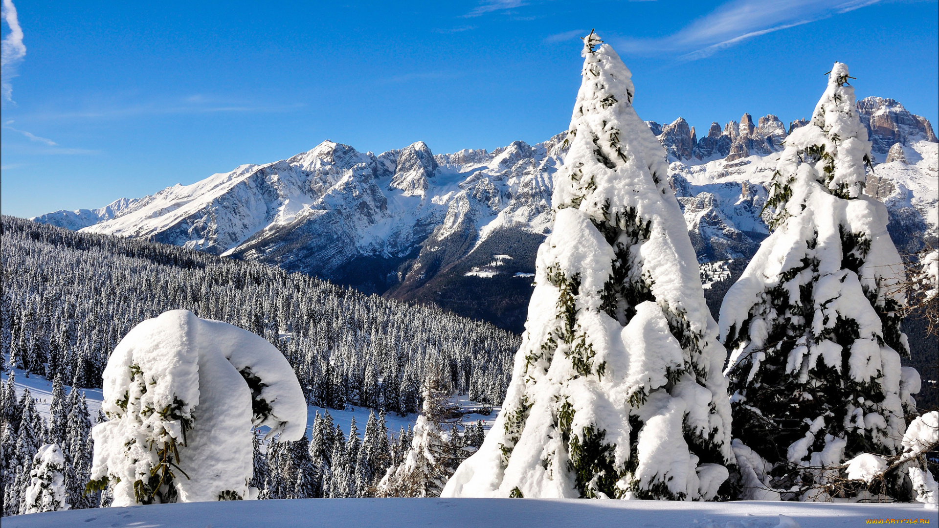 природа, зима, сугробы, снег, лес, горы