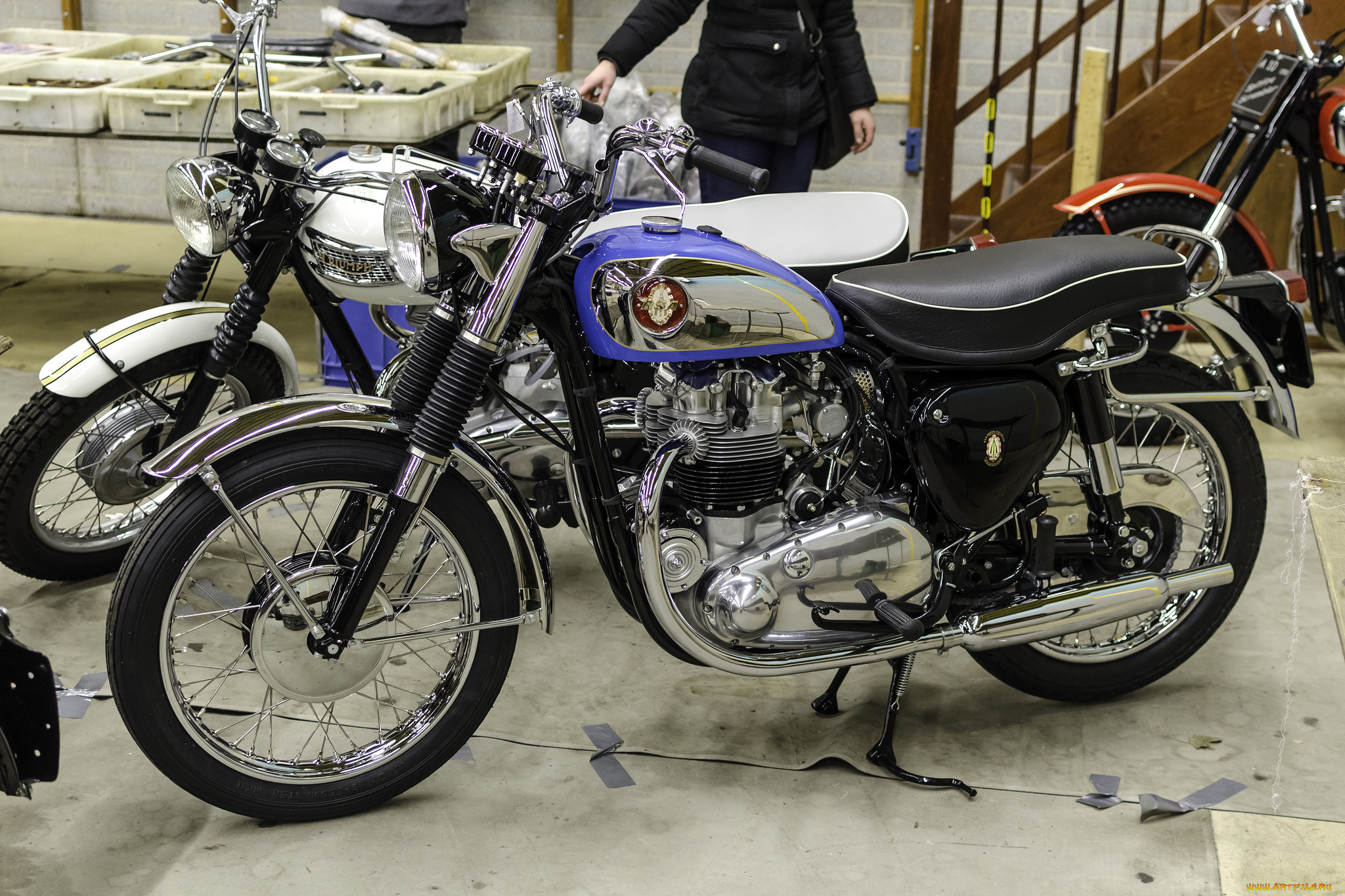 bsa, goldstar, мотоциклы, bsa, история, ретро, автошоу, выставка