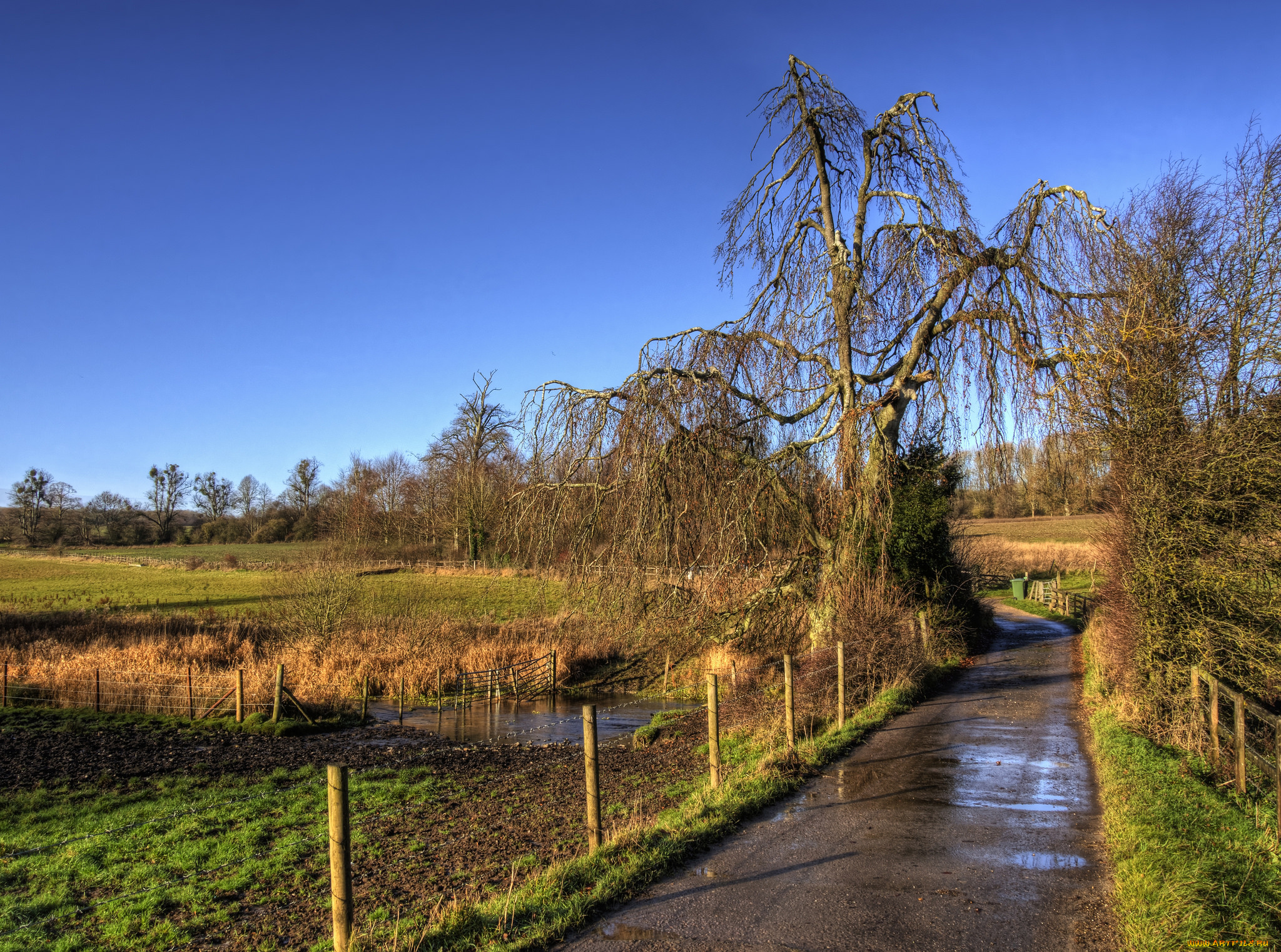 природа, дороги, поле, деревья, изгородь, дорога