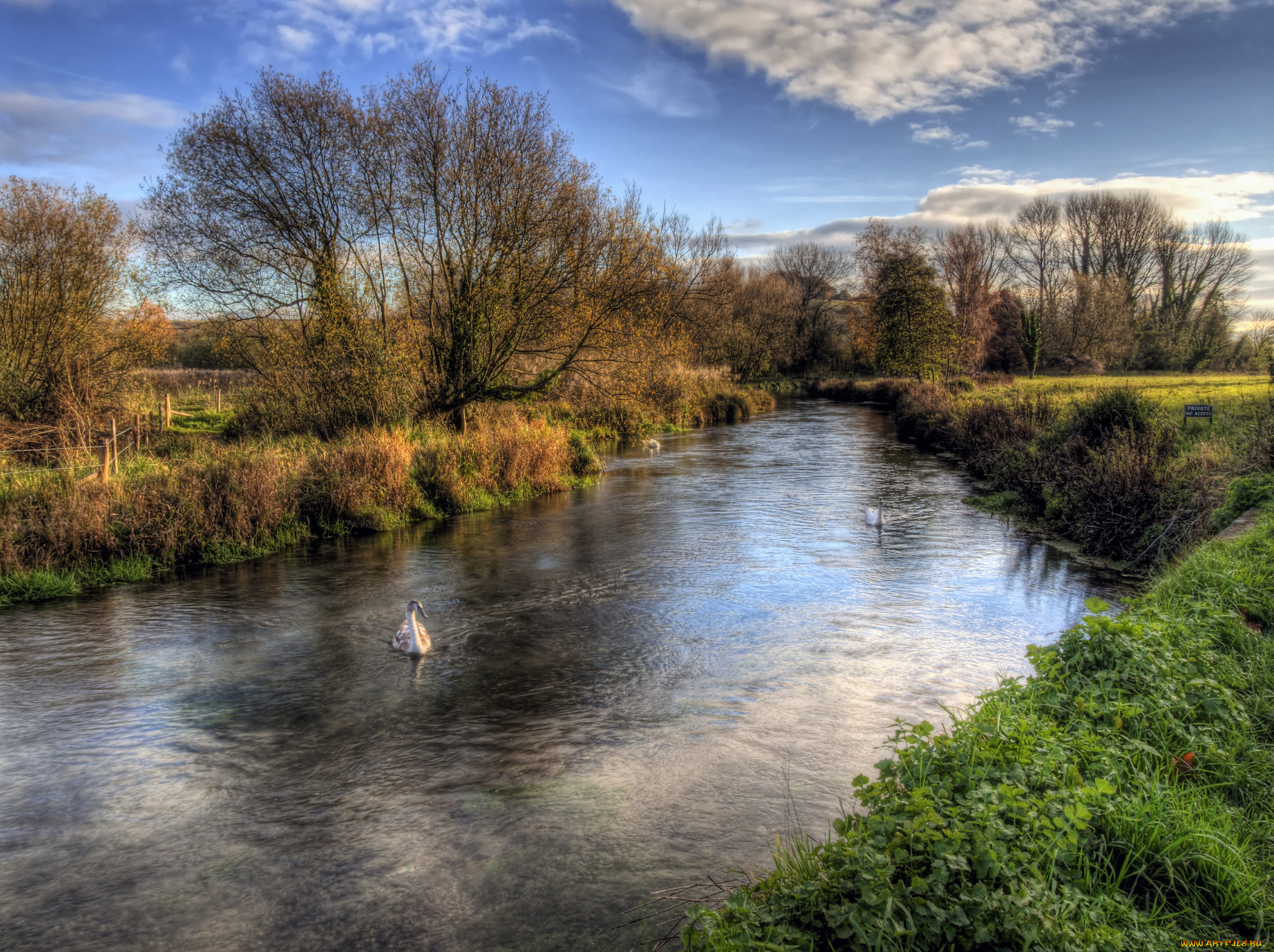 природа, реки, озера, облака, деревья, трава, берега, река