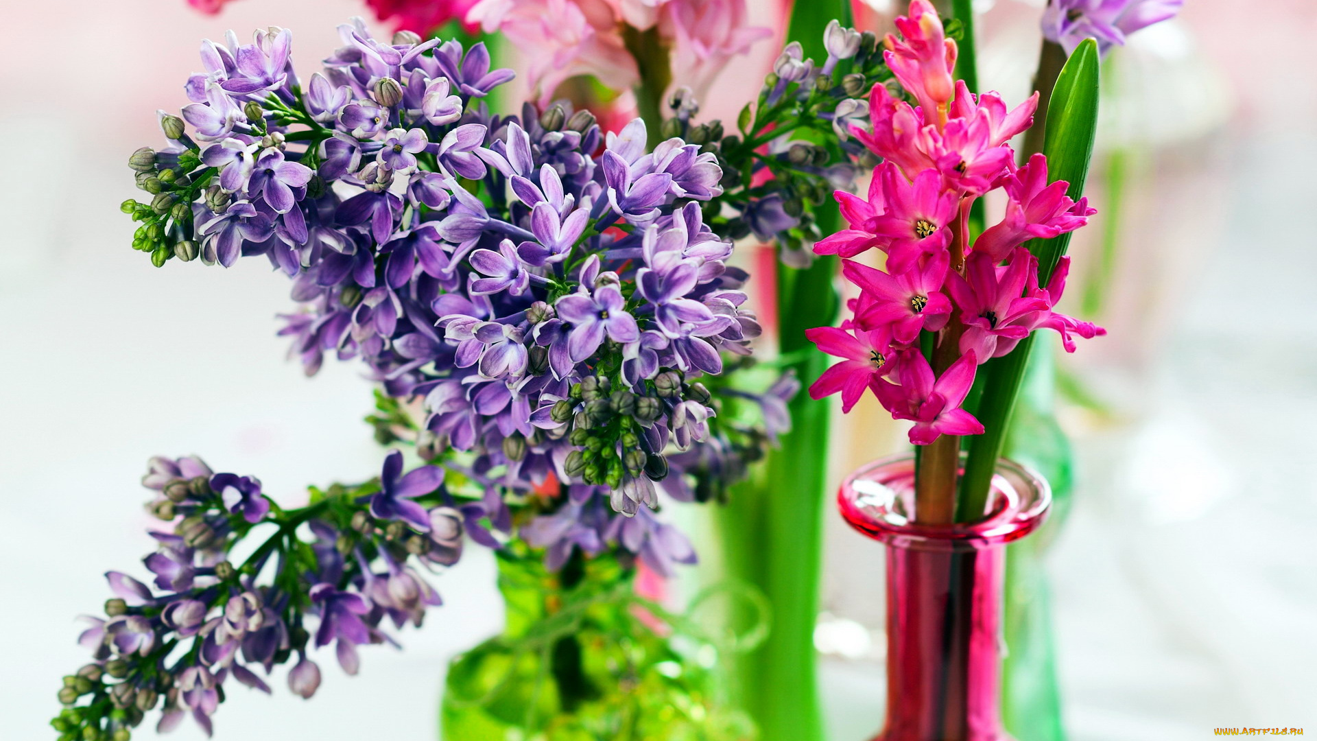 цветы, разные, вместе, гиацинт, сирень