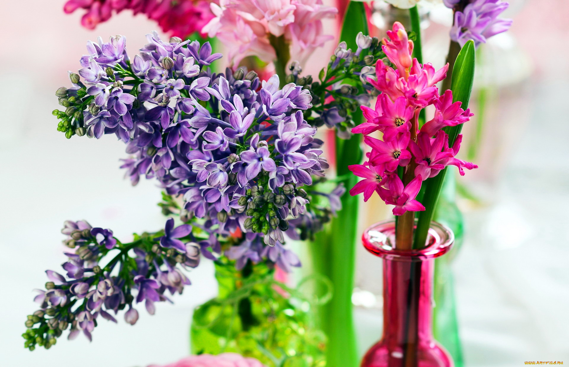 цветы, разные, вместе, гиацинт, сирень