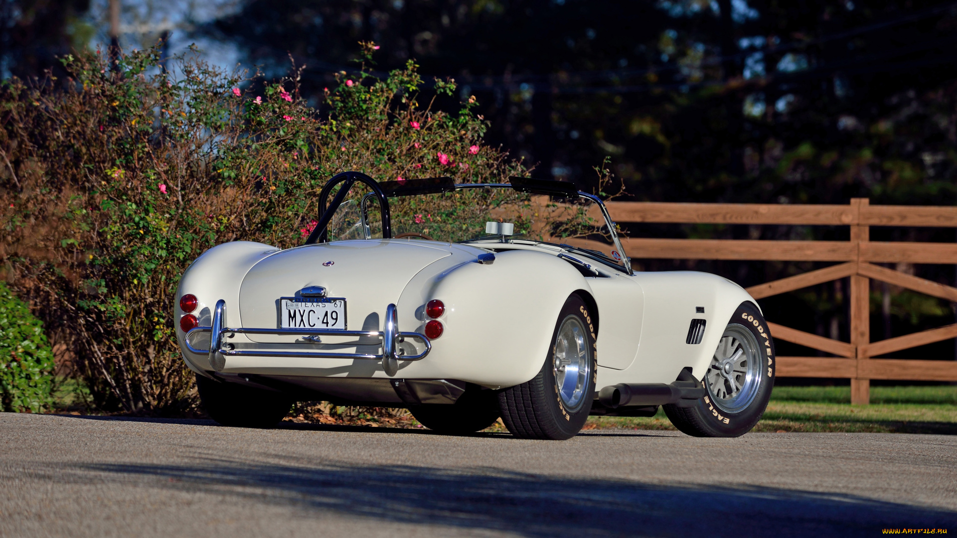 автомобили, ac, cobra, shelby, cobra