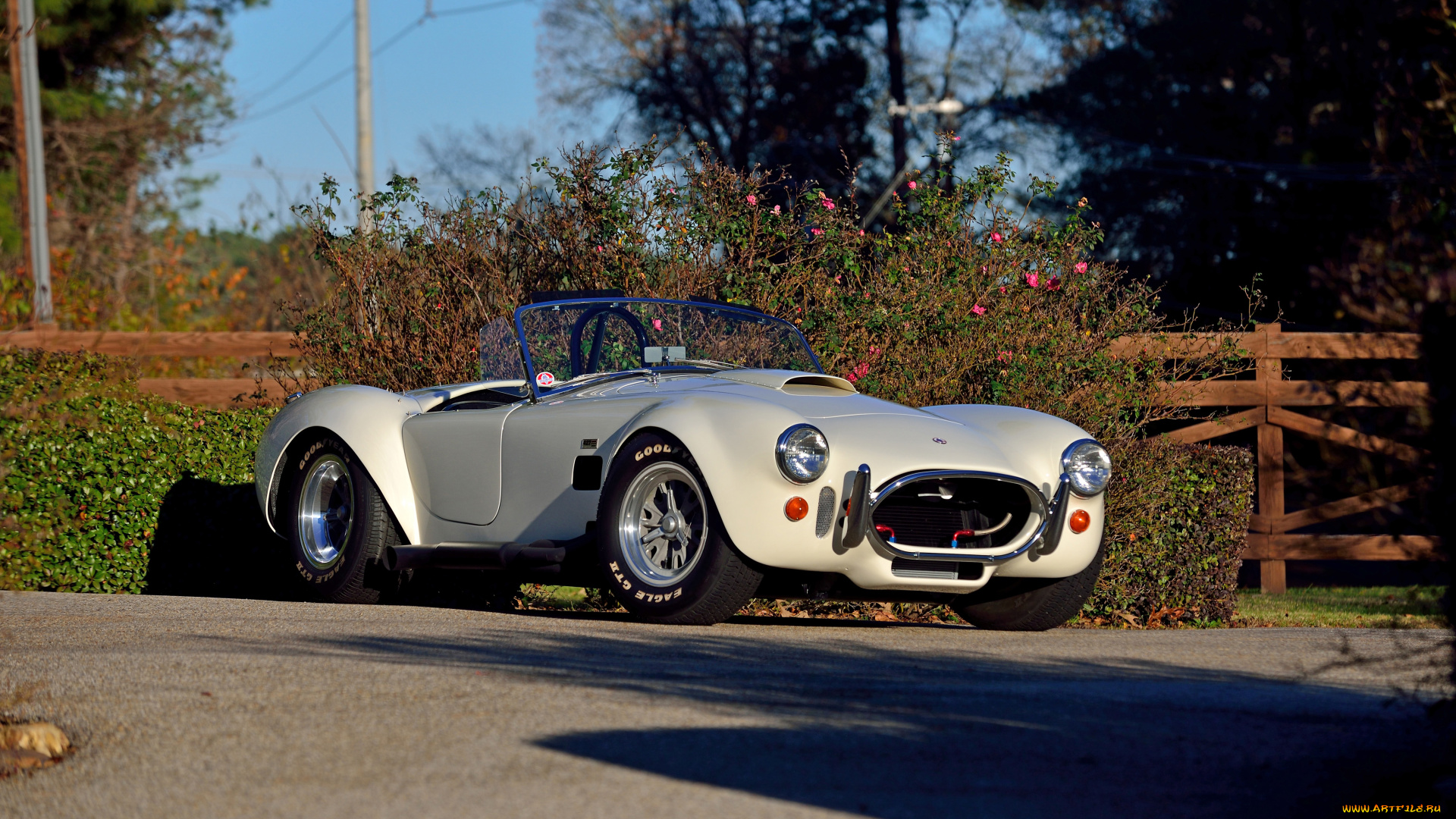 автомобили, ac, cobra, shelby, cobra, ac