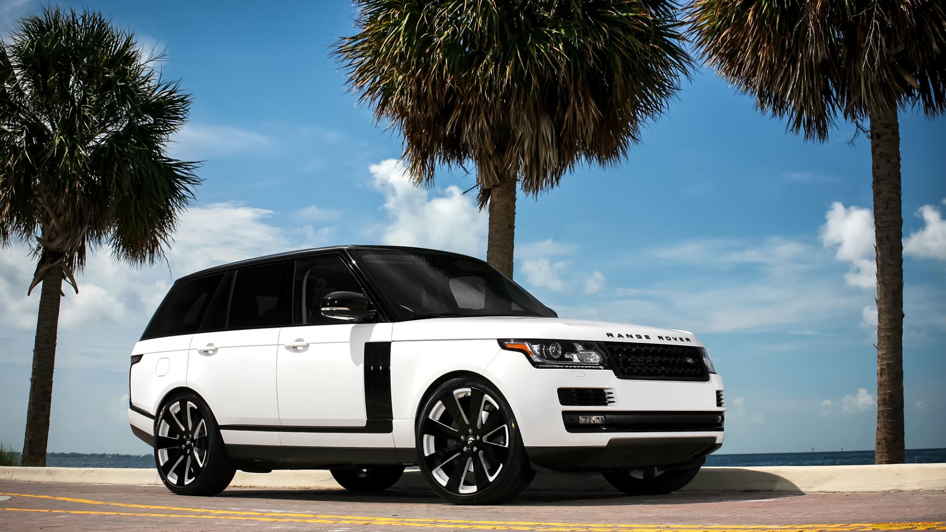 автомобили, range, rover, range-rover