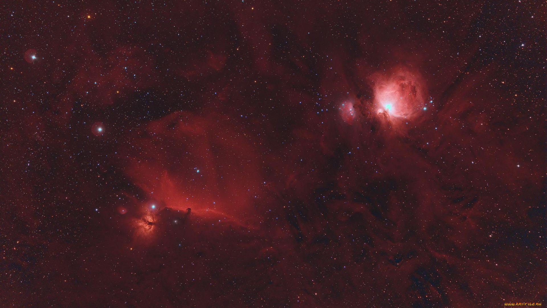 космос, галактики, туманности, звезды, туманность, ориона
