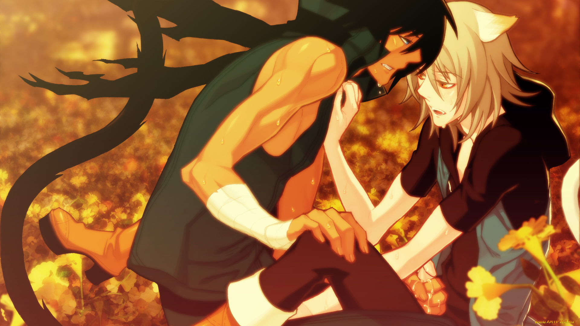 аниме, lamento, парни, рибика, асато, коное