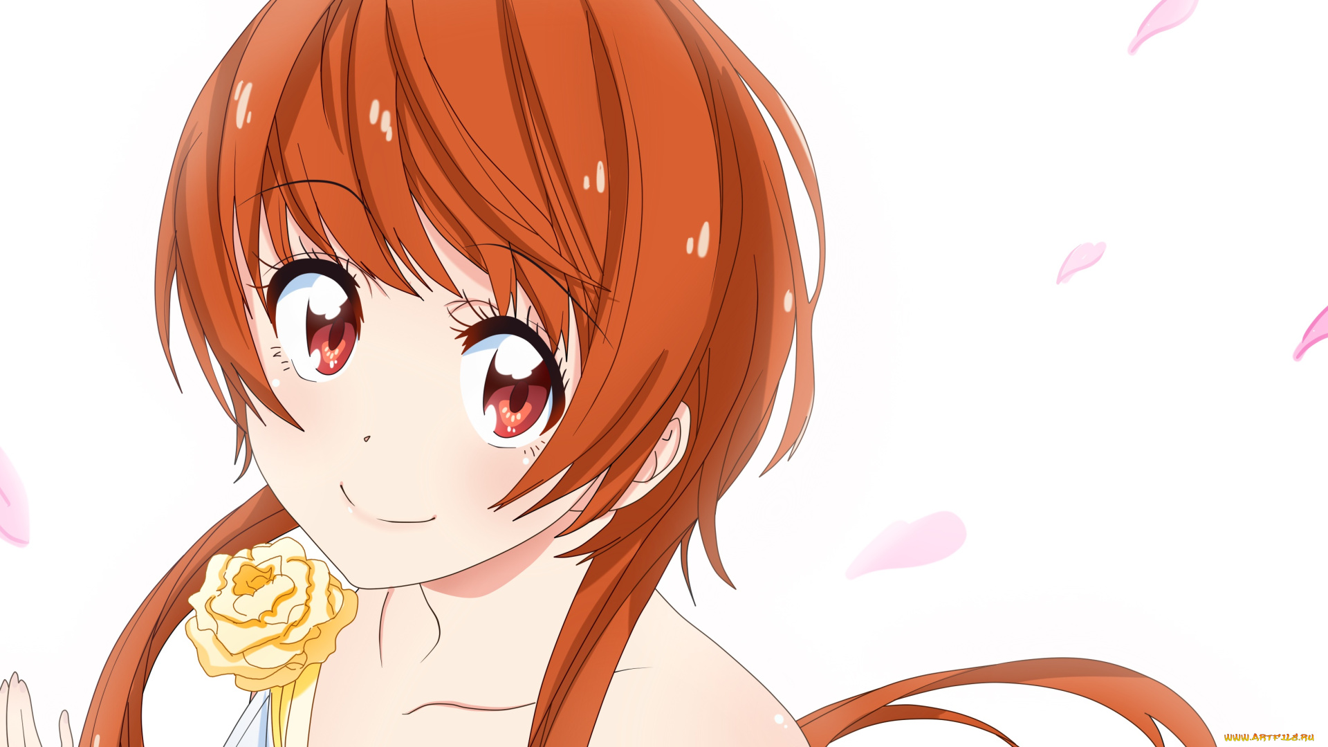 аниме, nisekoi, фон, взгляд, девушка