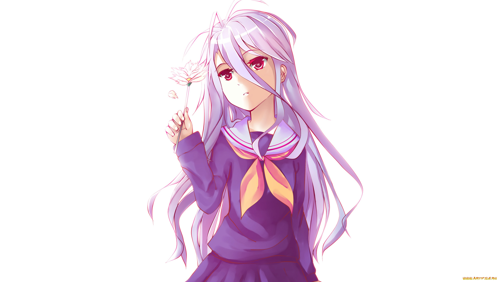 аниме, no, game, no, life, фон, взгляд, девушка