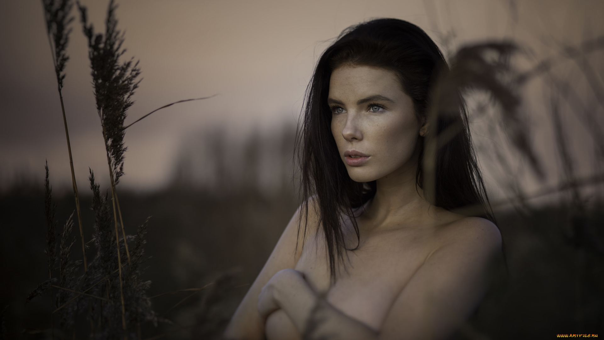 девушки, -unsort, , брюнетки, , шатенки, взгляд, лицо