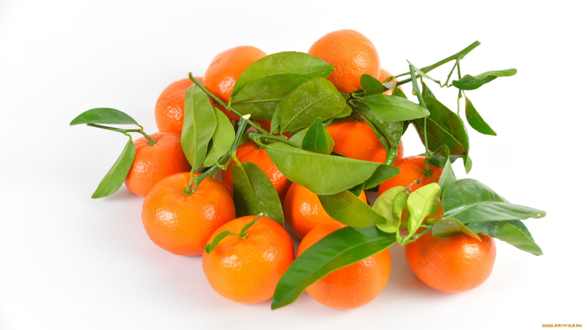 еда, цитрусы, мандарины