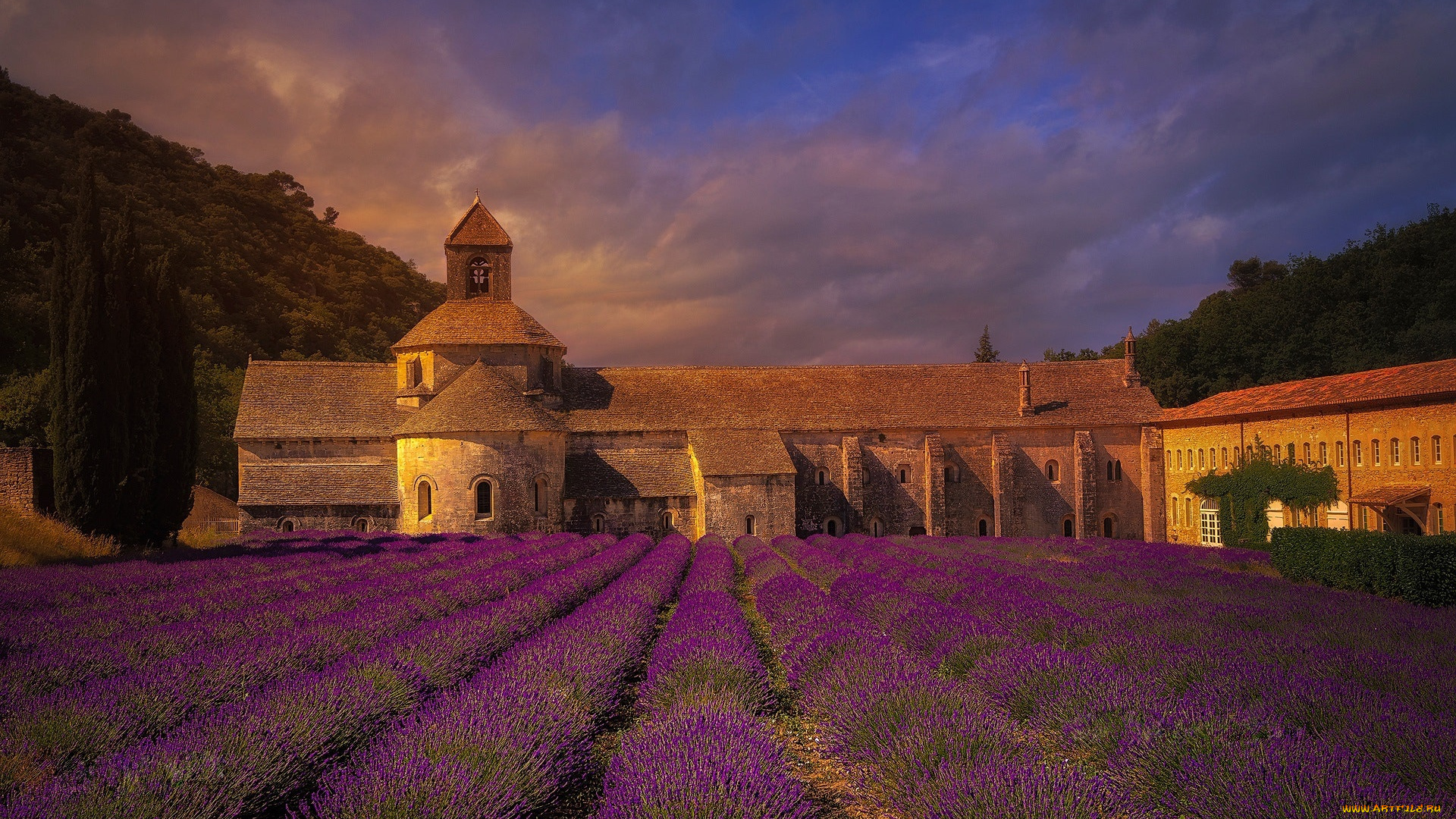 города, -, здания, , дома, франция, поле, лаванда, монастырь