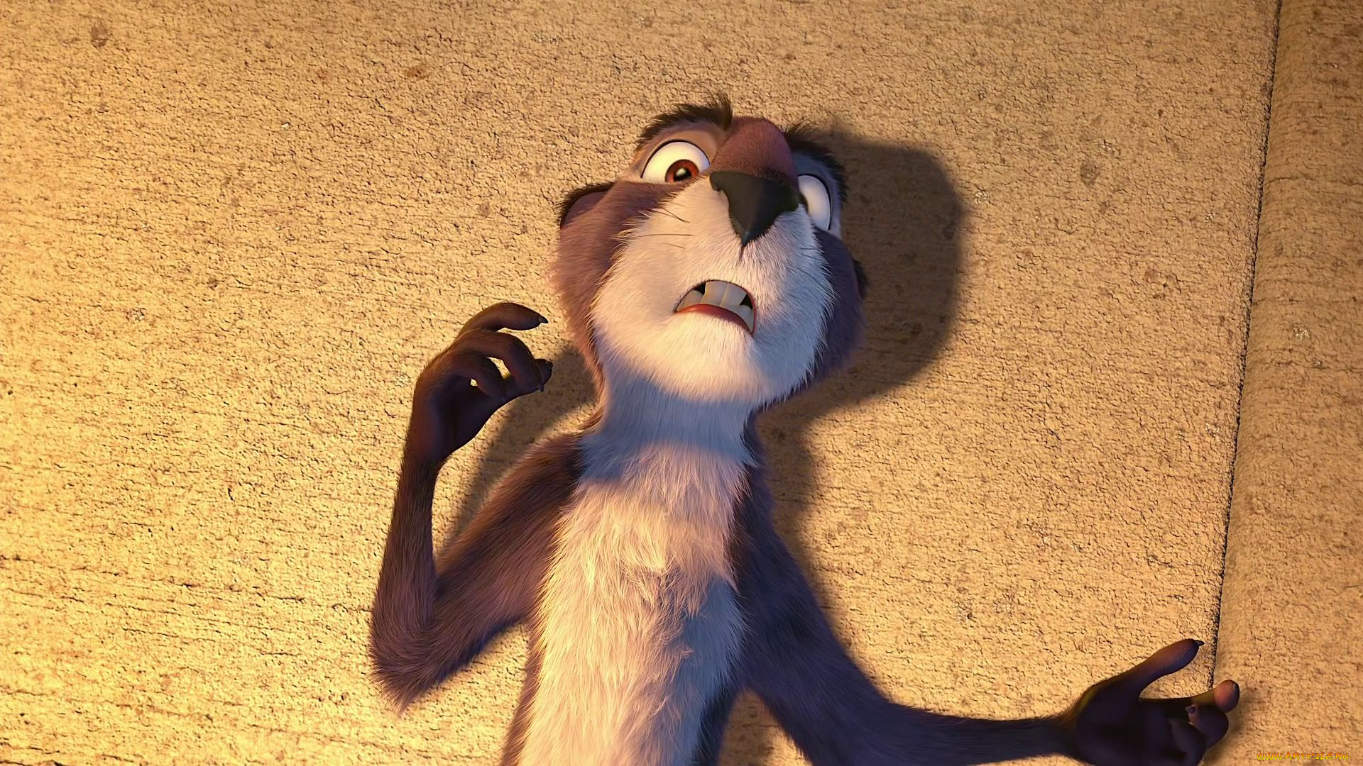 мультфильмы, the, nut, job, the, nut, job