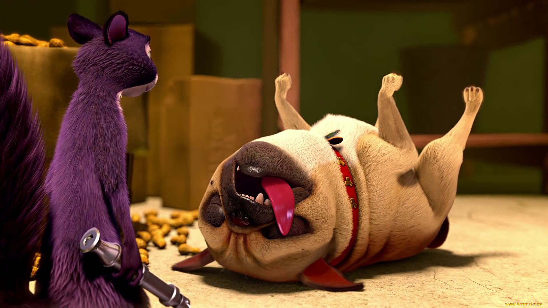 мультфильмы, the, nut, job, the, nut, job