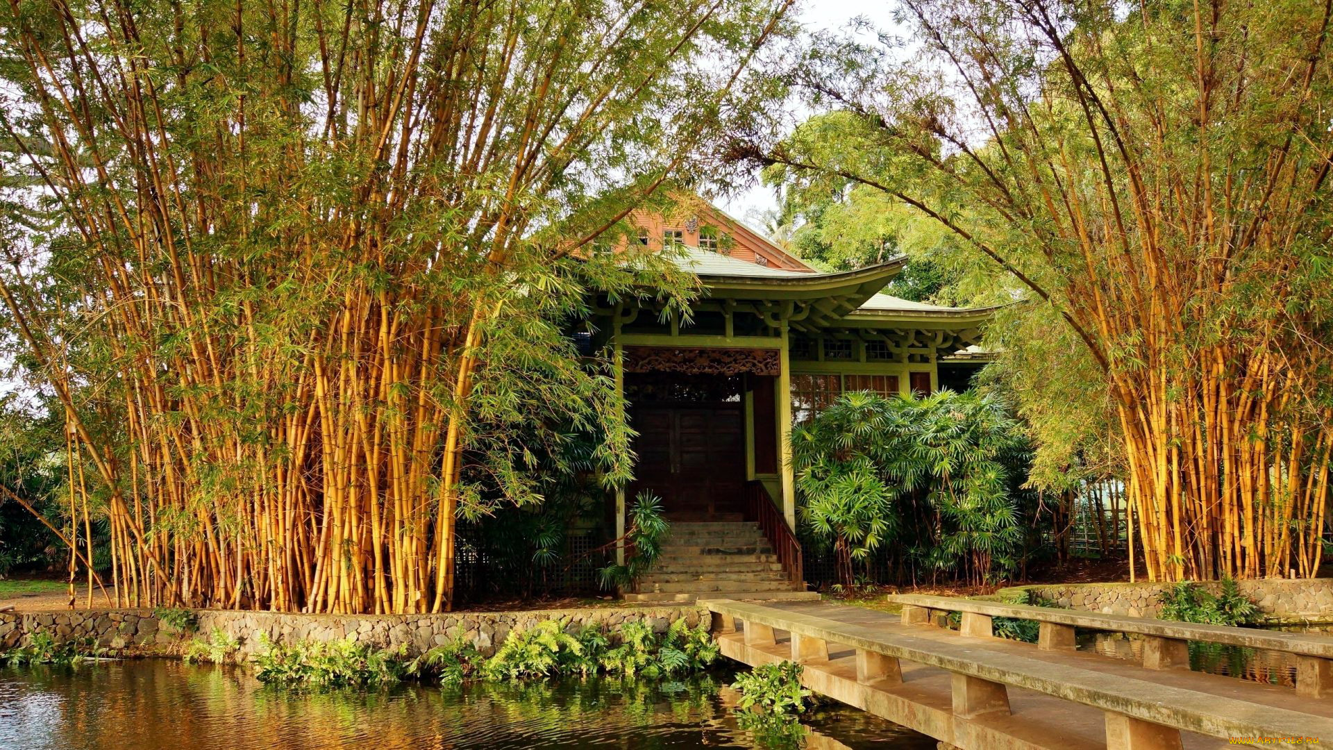 природа, парк, водоем, мостик, пагода