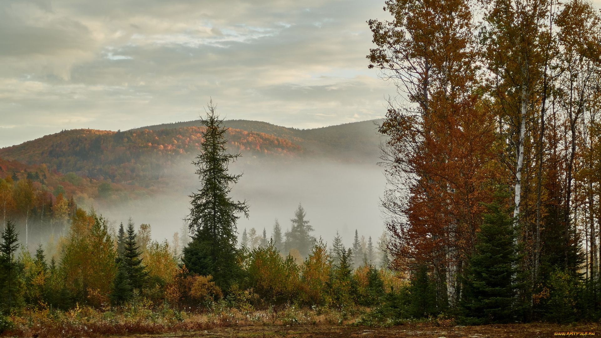 природа, пейзажи, простор