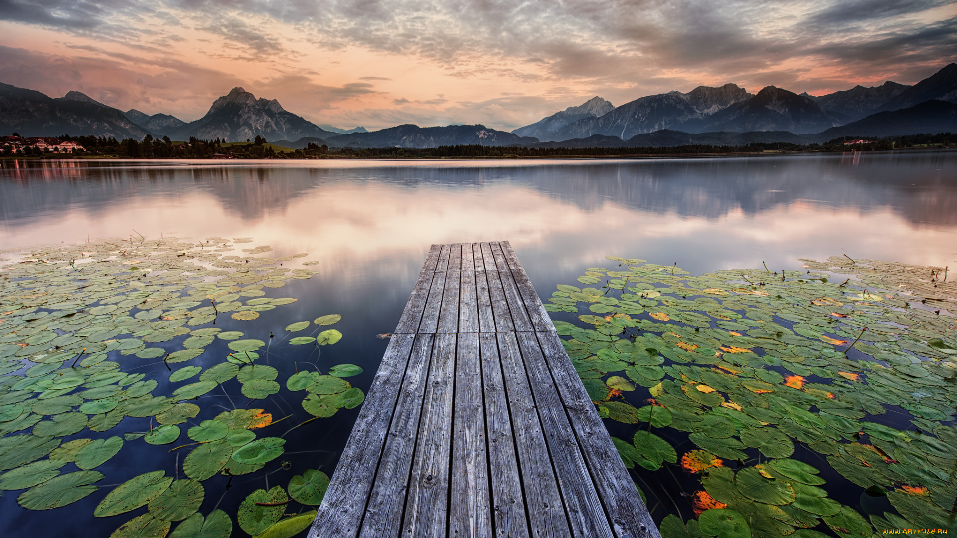 природа, реки, озера, лес, река