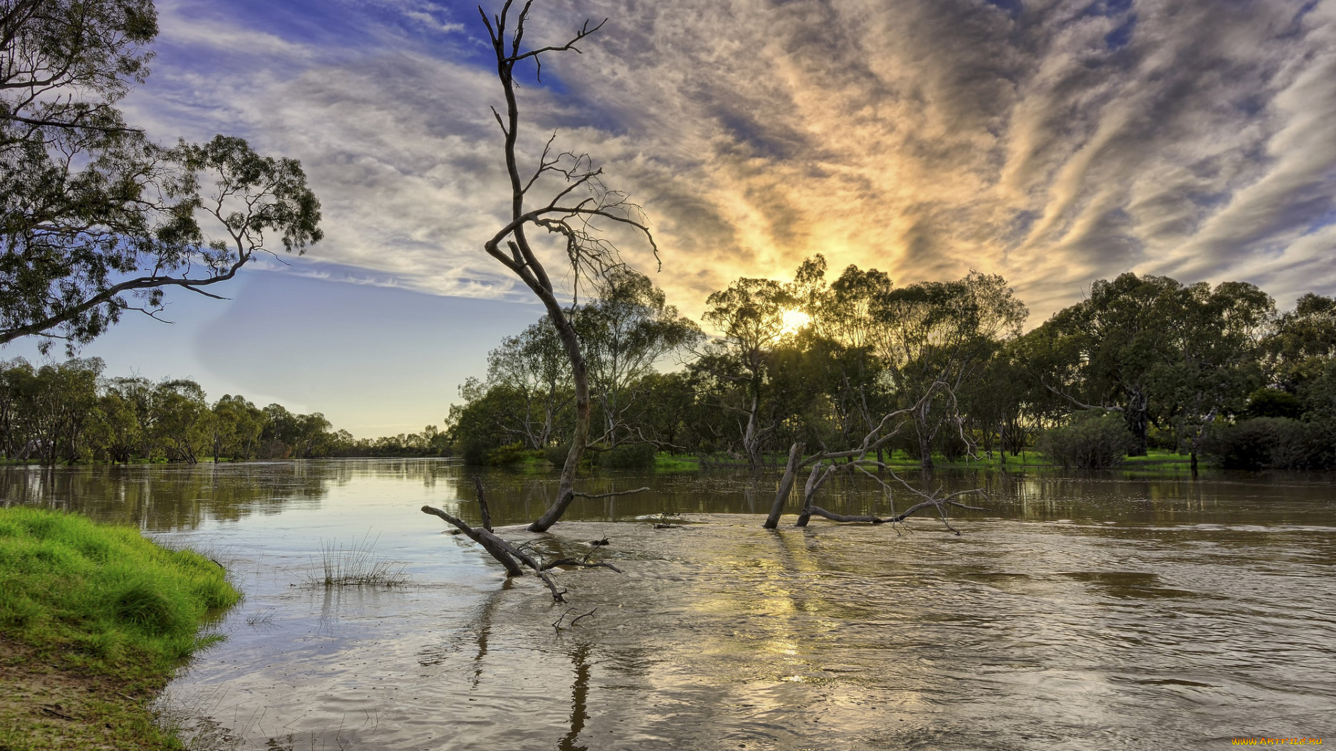 природа, реки, озера, лес, река