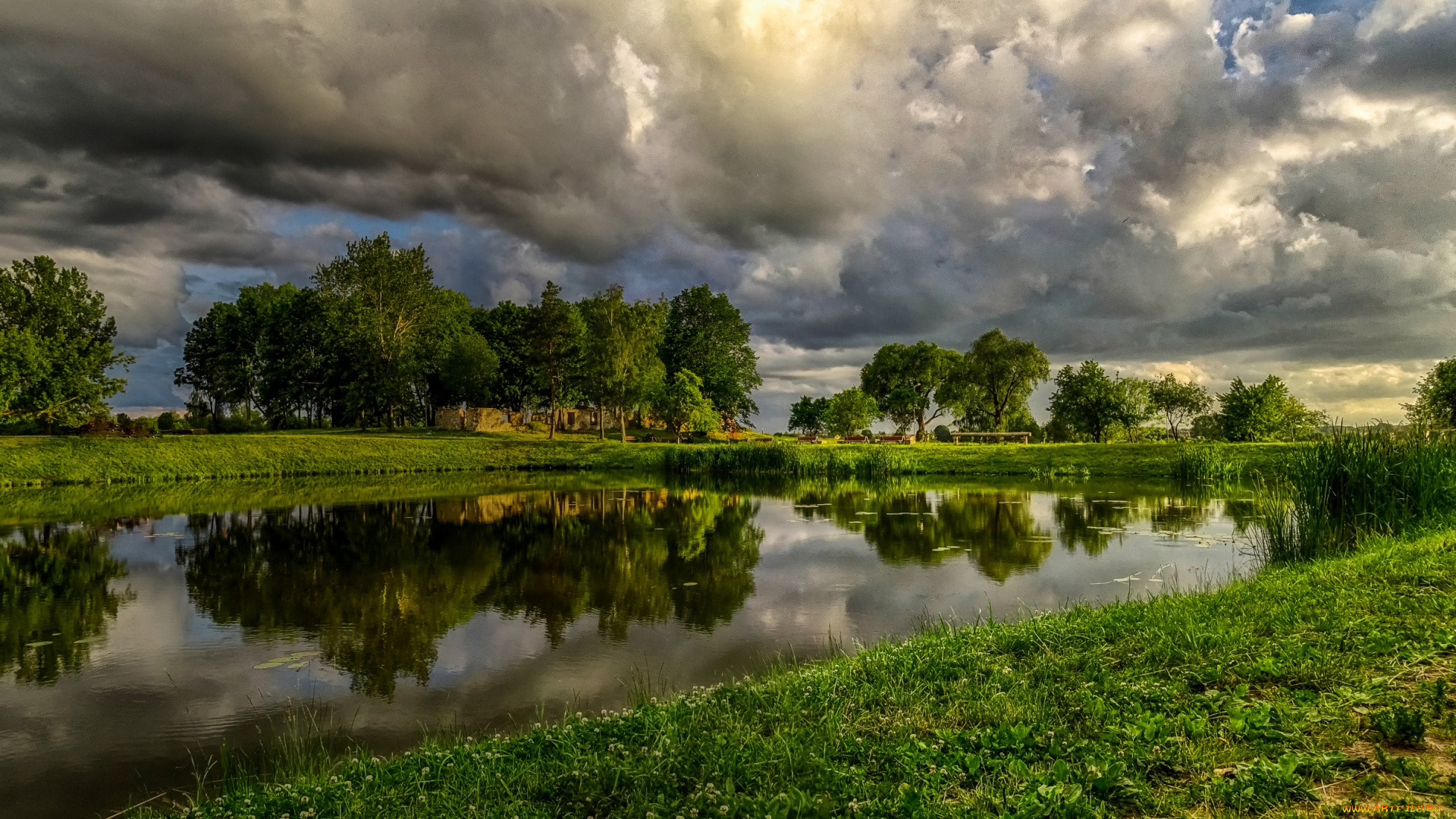 природа, реки, озера, река, лес